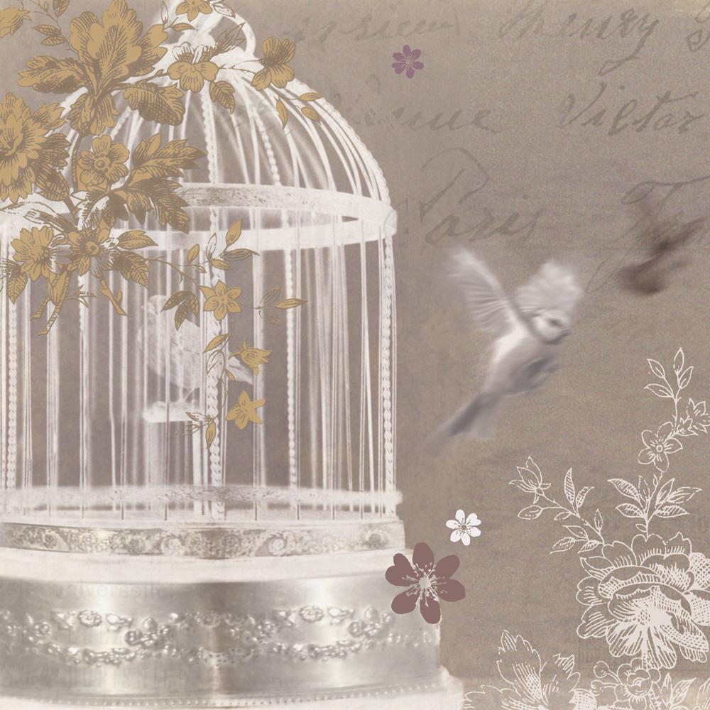 View of Bird Cage Wallpapers - Top Free Bird Cage Backgrounds - WallpaperAccess