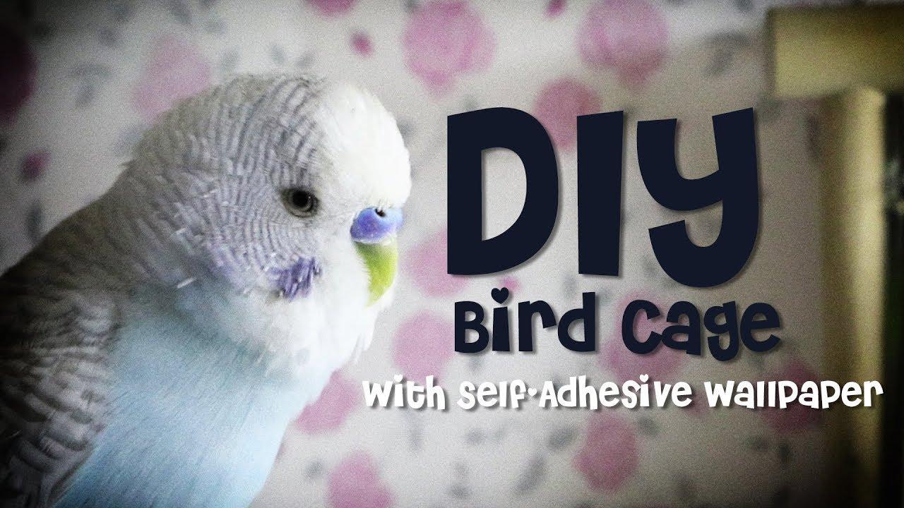 1280x720 DIY Bird Cage using Self Adhesive Wallpaper