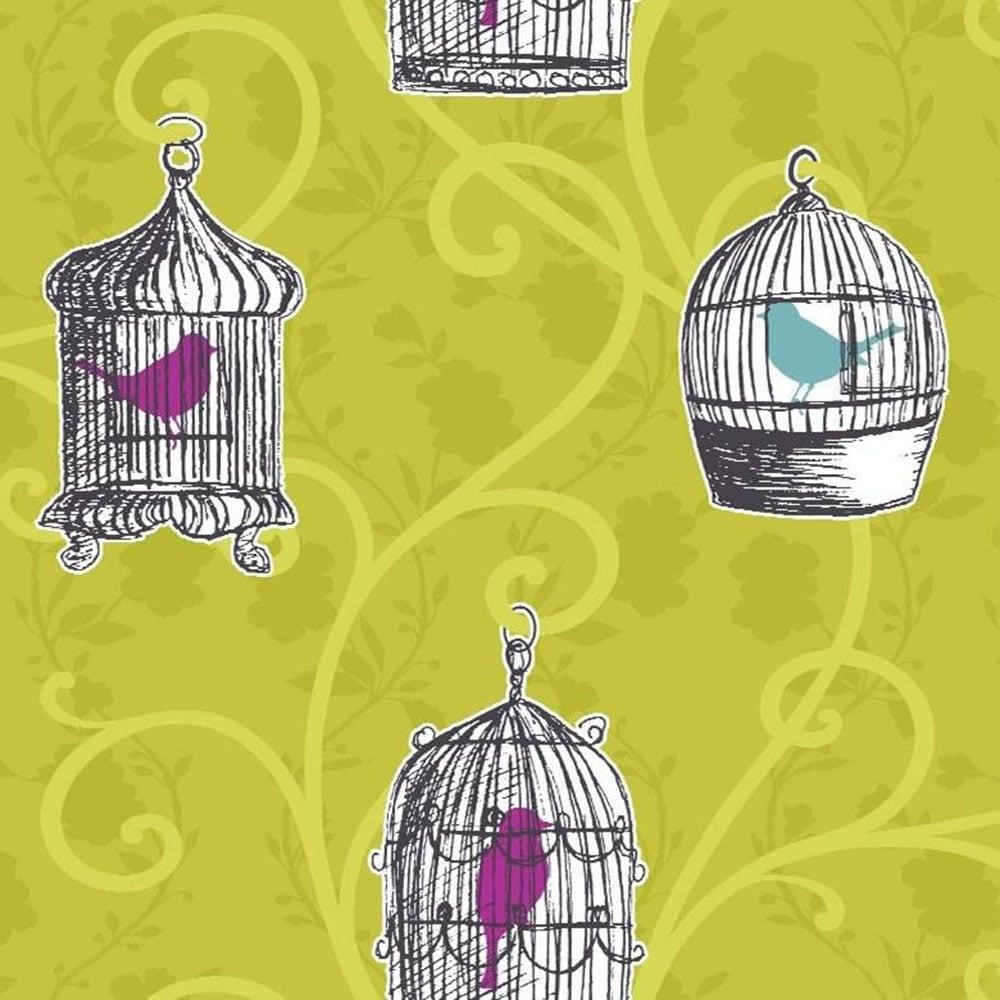 Bird Cage Wallpapers - Top Free Bird Cage Backgrounds - WallpaperAccess