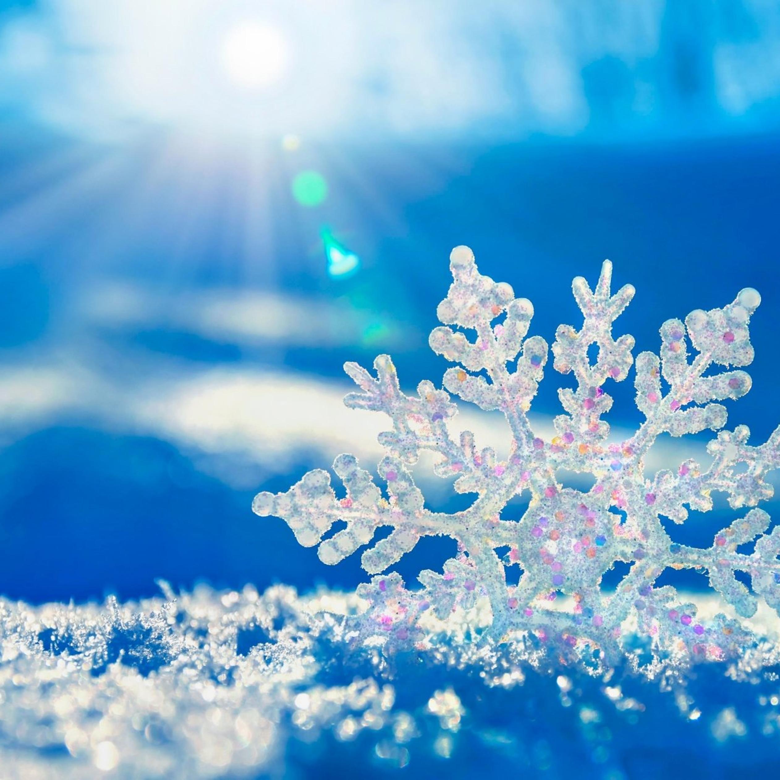 2524x2524 Perfect frozen snowflake in winter sunshine