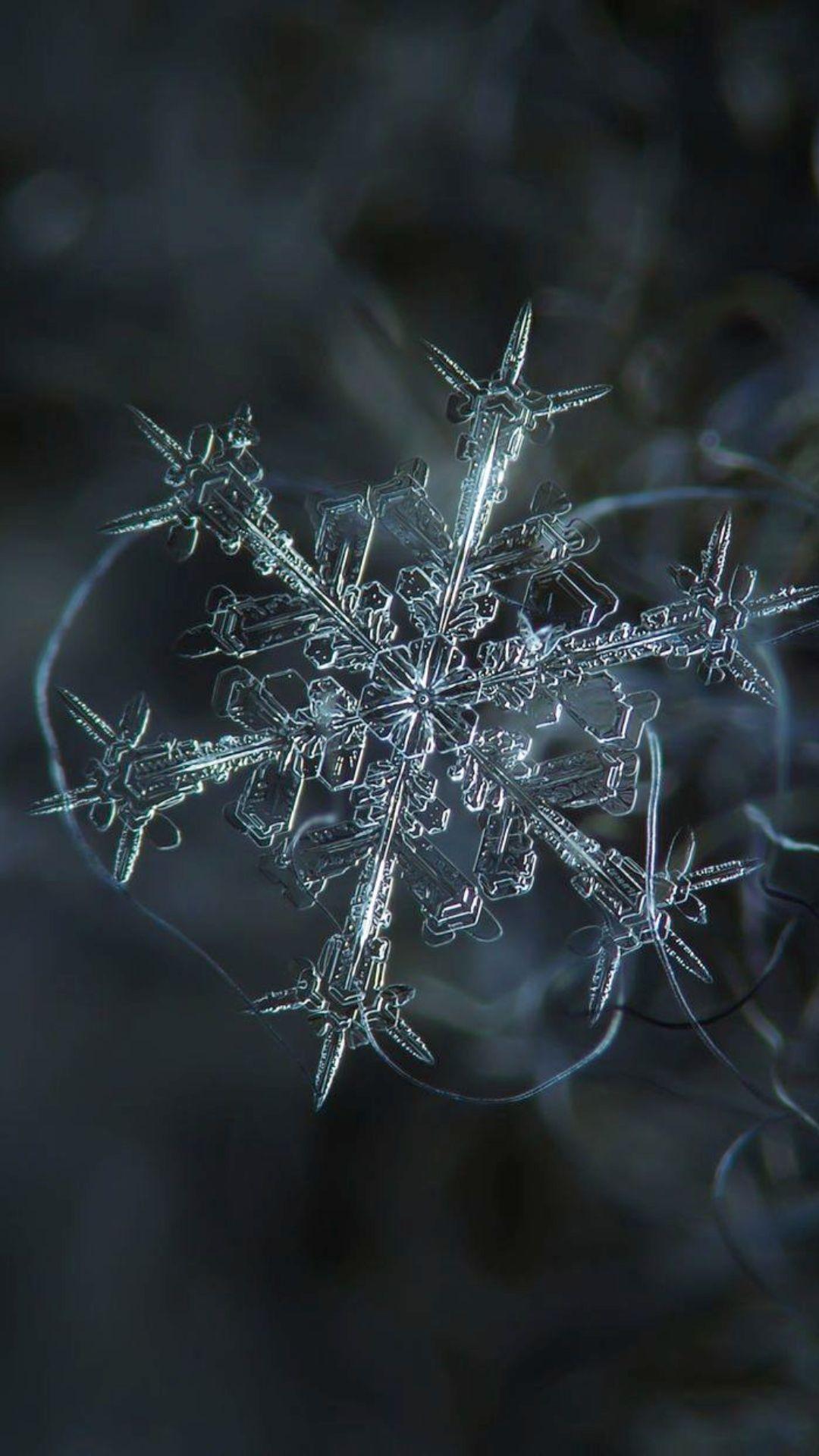 1080x1920 Snowflake Wallpaper Snowflake Background Download