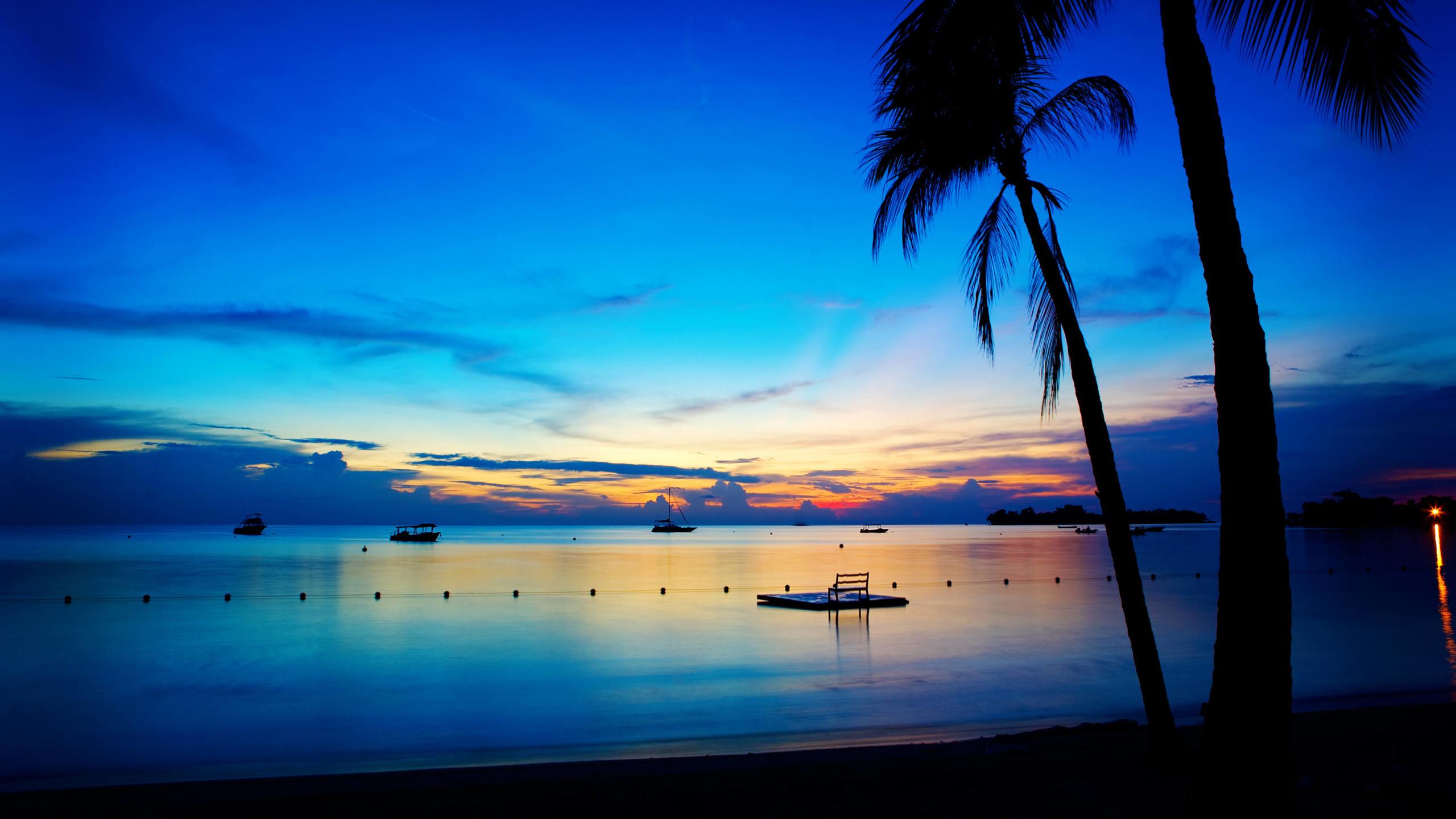 2560x1440 Night at Beach 4K 1440P Resolution Wallpaper, HD Nature 4K Wallpaper, Image, Photo and Background