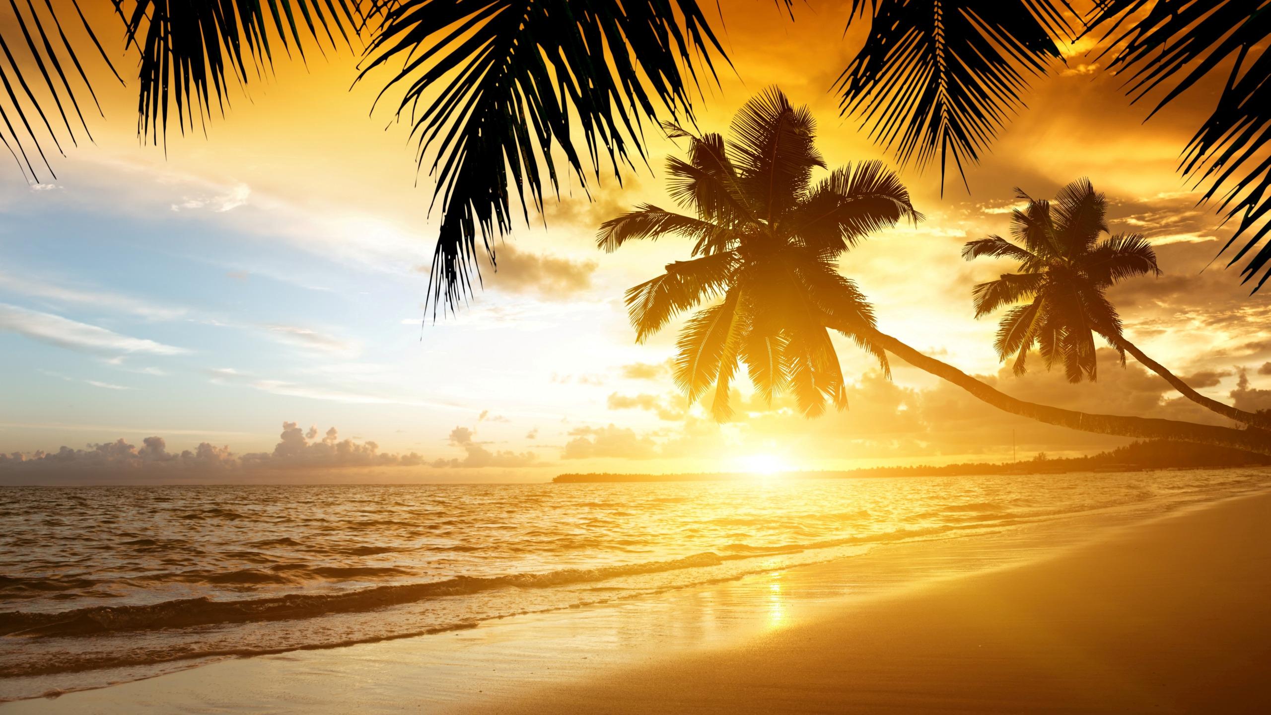 Beach 2560X1440 Wallpapers - Top Free Beach 2560X1440 Backgrounds ...