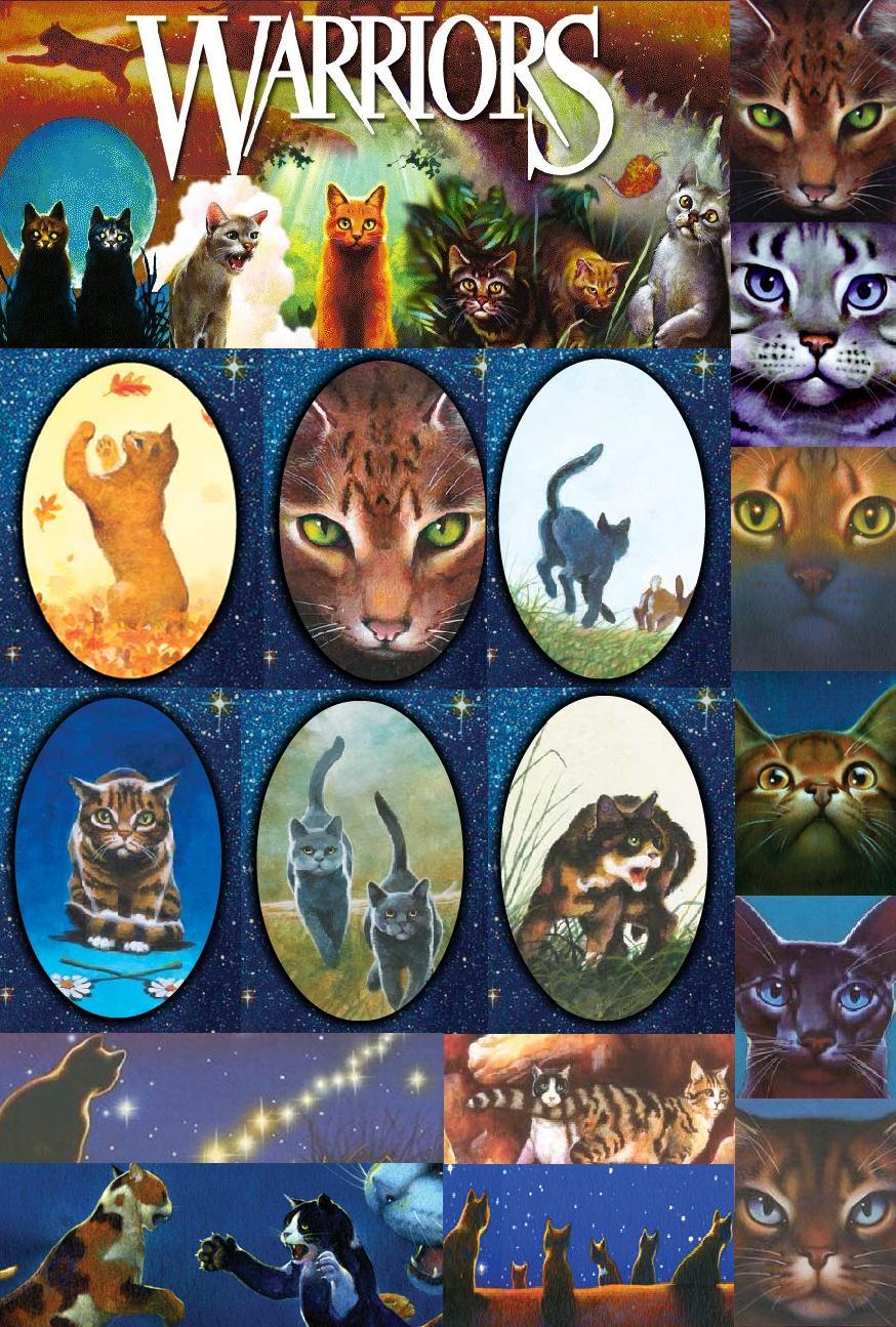 874x1295 Warrior Cats Book Series image Warriors Cats Cats HD wallpaper