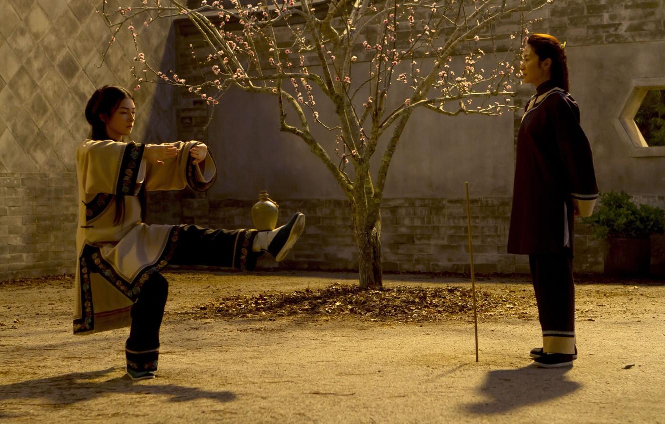 1332x850 Wallpaper China, cinema, movie, asian, film, martial artist, chinese, oriental, asiatic, Michelle Yeoh, Crouching Tiger Hidden Dragon: Sword of Destiny image for desktop, section фильмы
