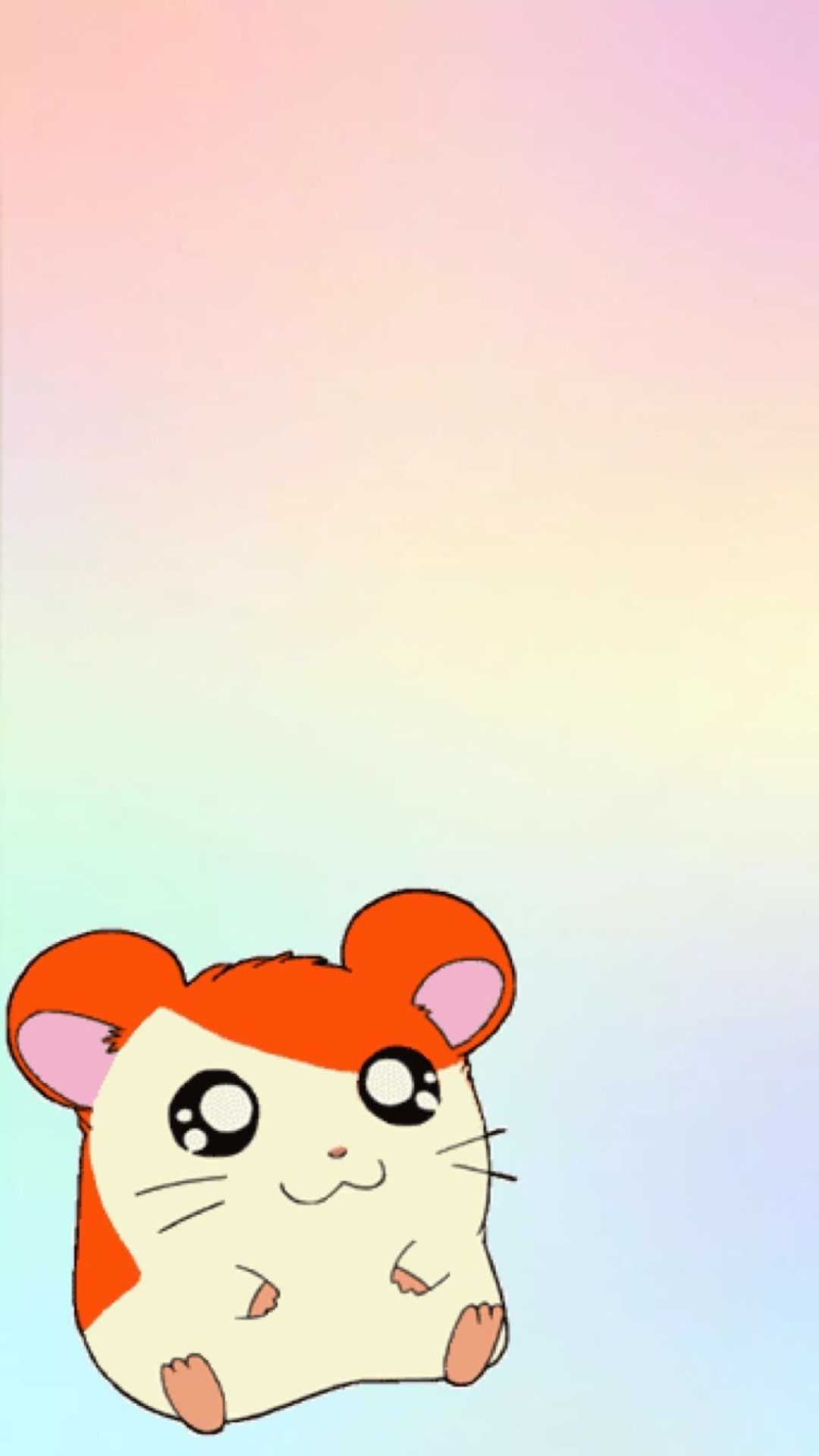 1080x1920 Hamster Wallpaper