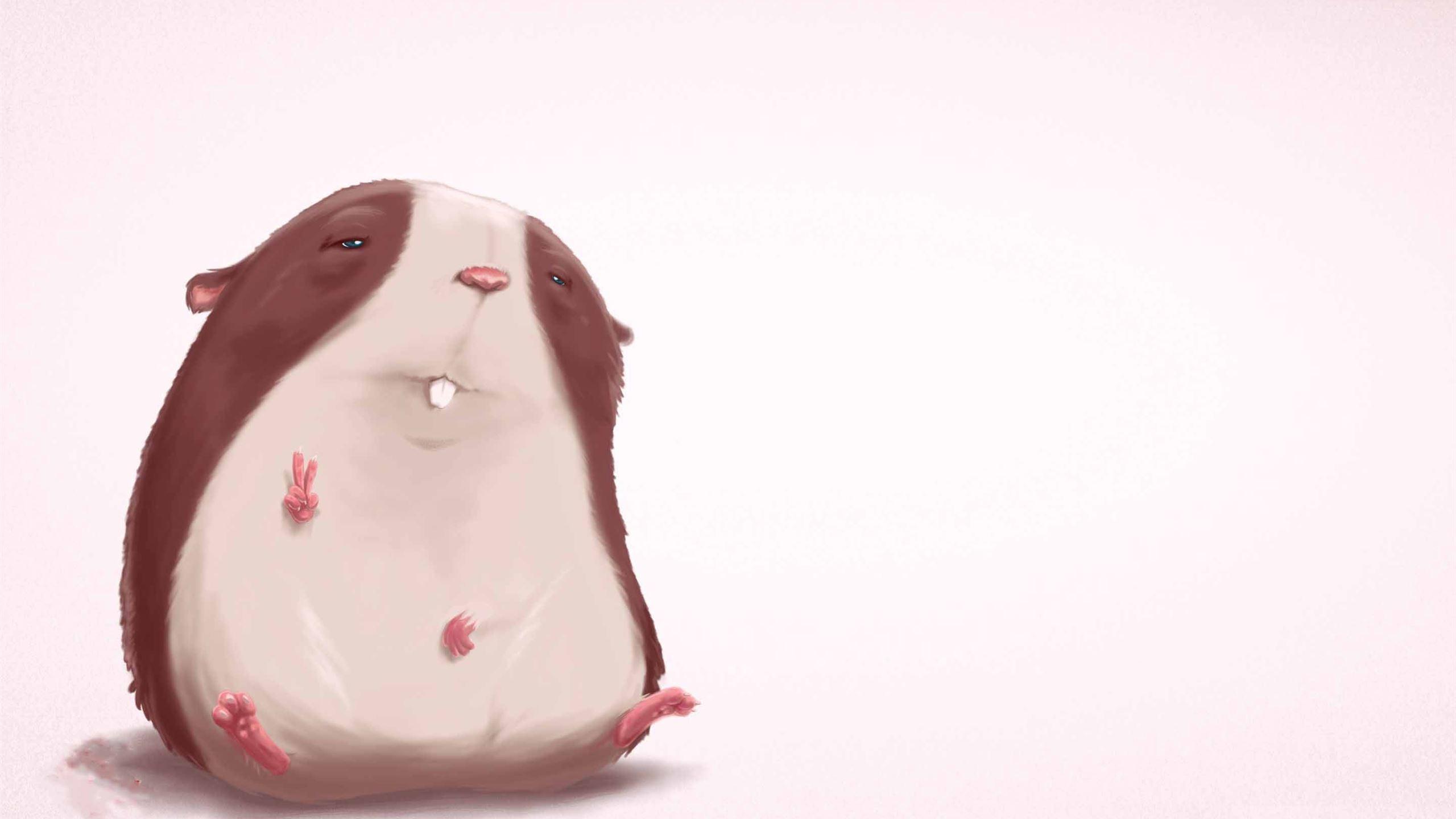 2560x1440 Funny Hamster Mac Wallpaper Download