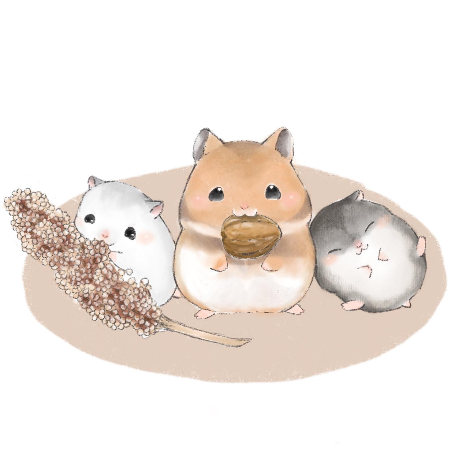 1536x1536 HammypalsStore
