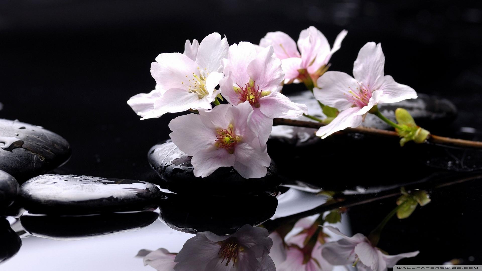 1920x1080 Zen Stones Background Ultra HD Desktop Background Wallpaper for 4K UHD TV : Multi Display, Dual Monitor