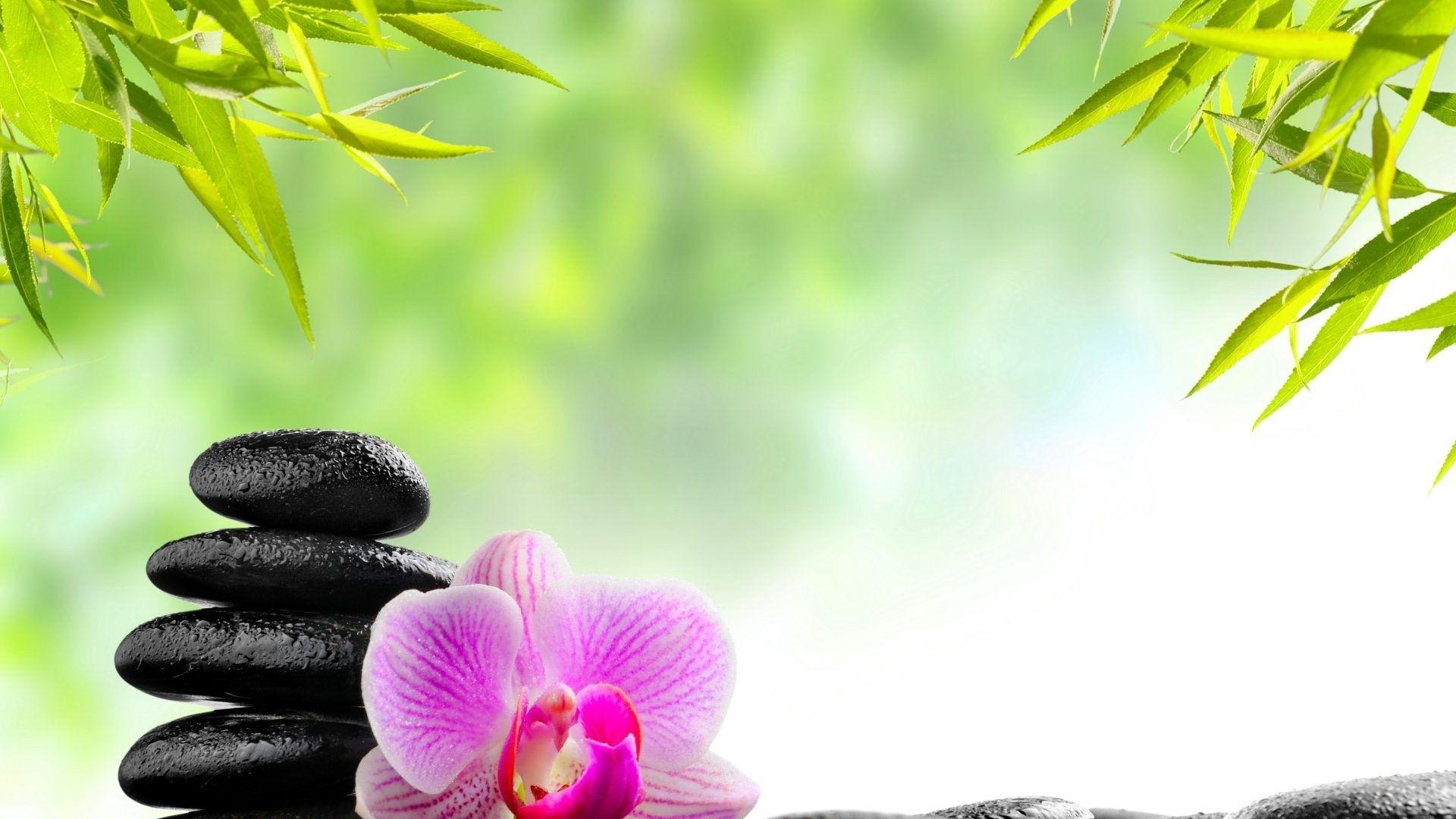 1920x1080 Zen Wallpaper