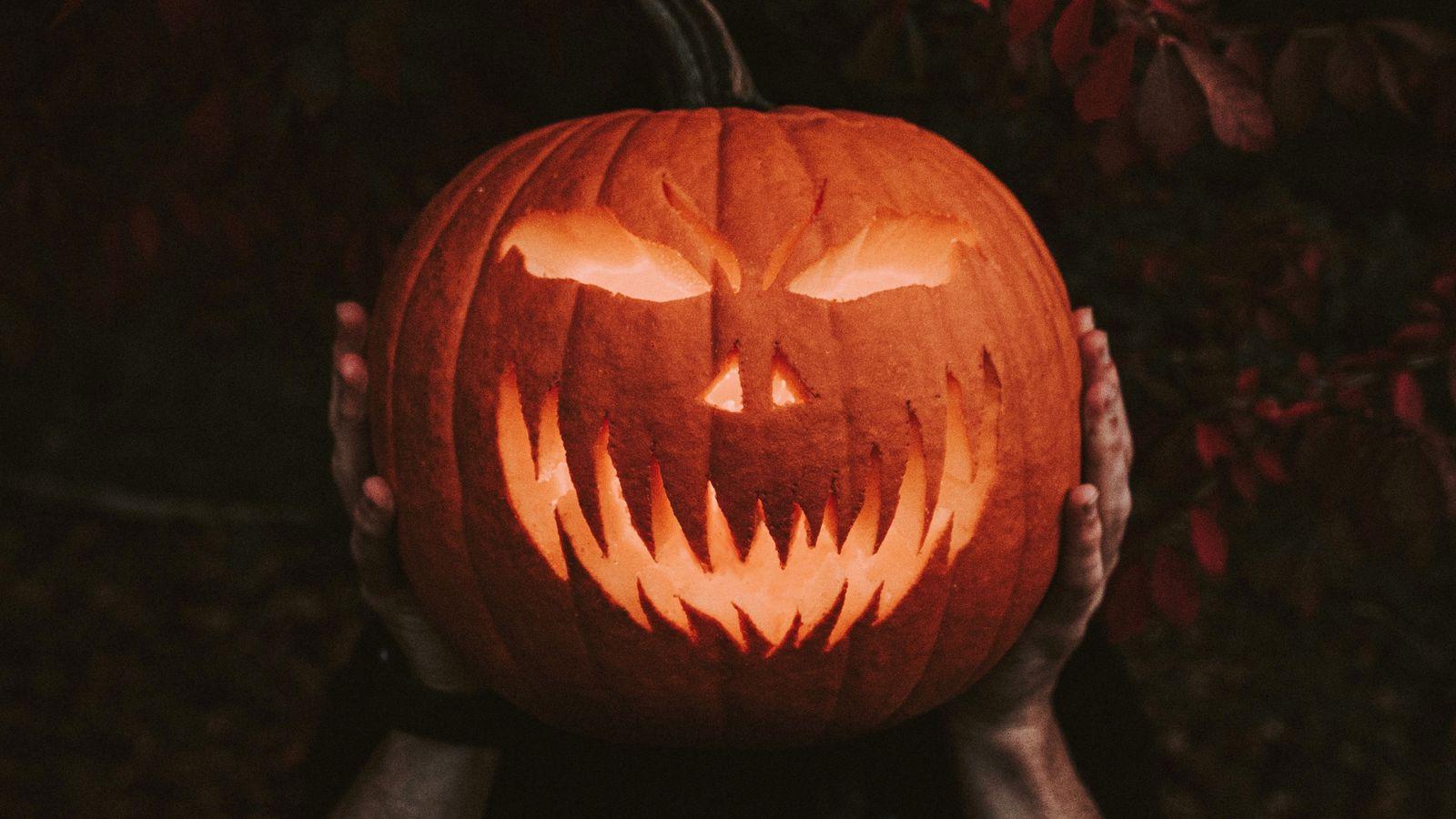 1600x900 Download wallpaper 1600x900 halloween, pumpkin, hands widescreen 16:9 HD background