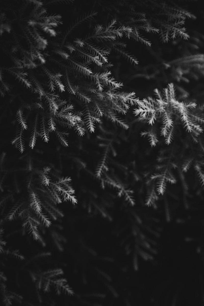 800x1200 Aesthetic Dark Wallpaper For iPhone (Free HD Download)