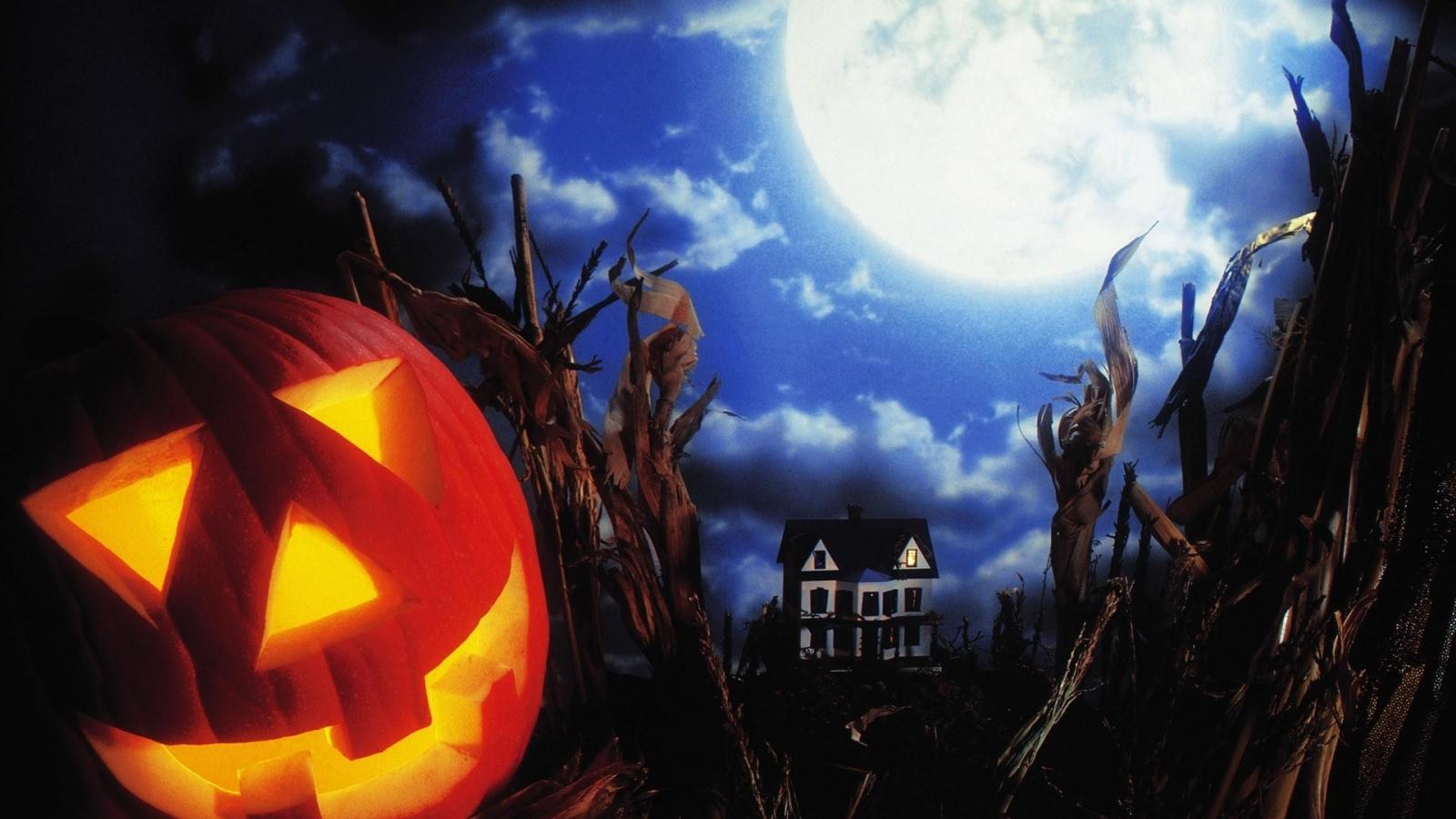1600x900 halloween, holiday, pumpkin 1600x900 Resolution Wallpaper, HD Holidays 4K Wallpaper, Image, Photo and Background