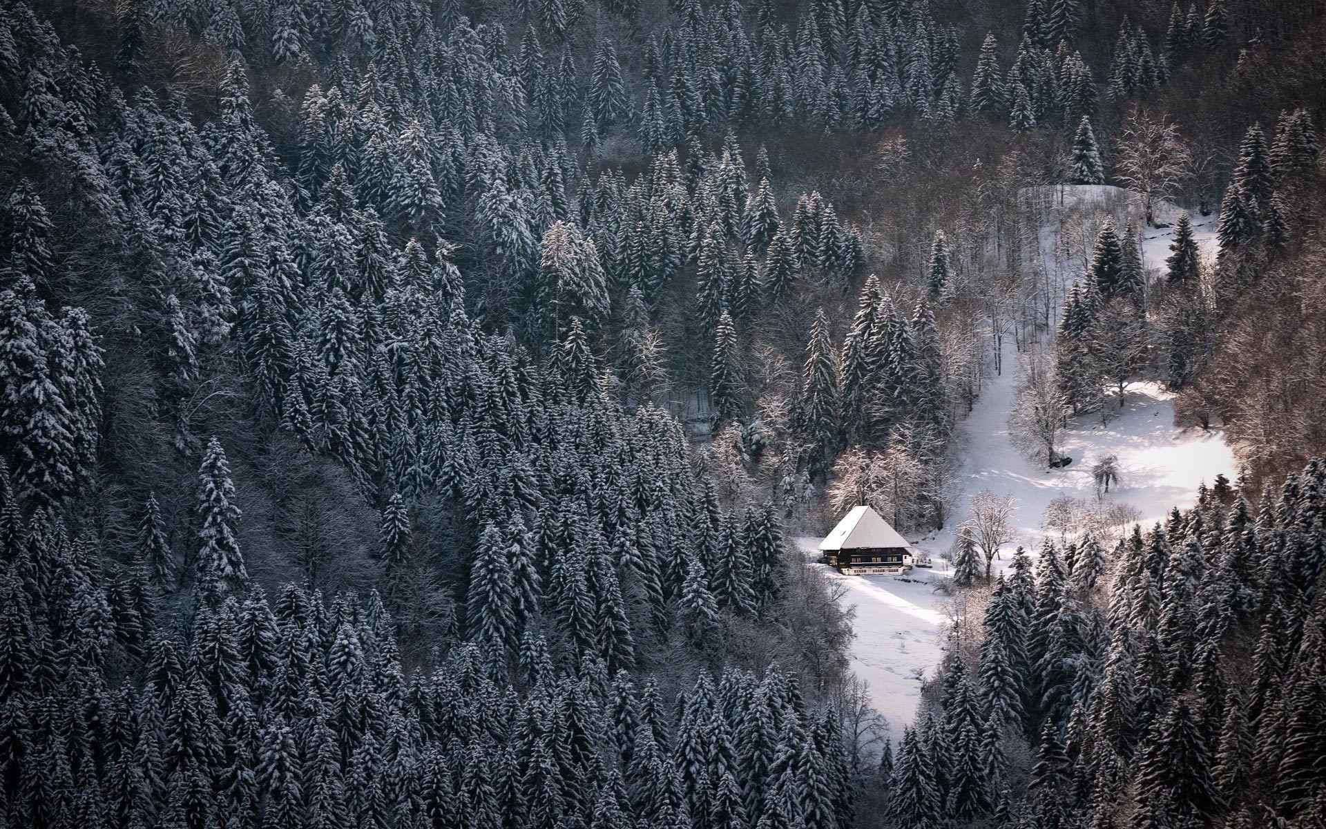 1920x1200 Hinterzarten Germany Winter Wallpaper