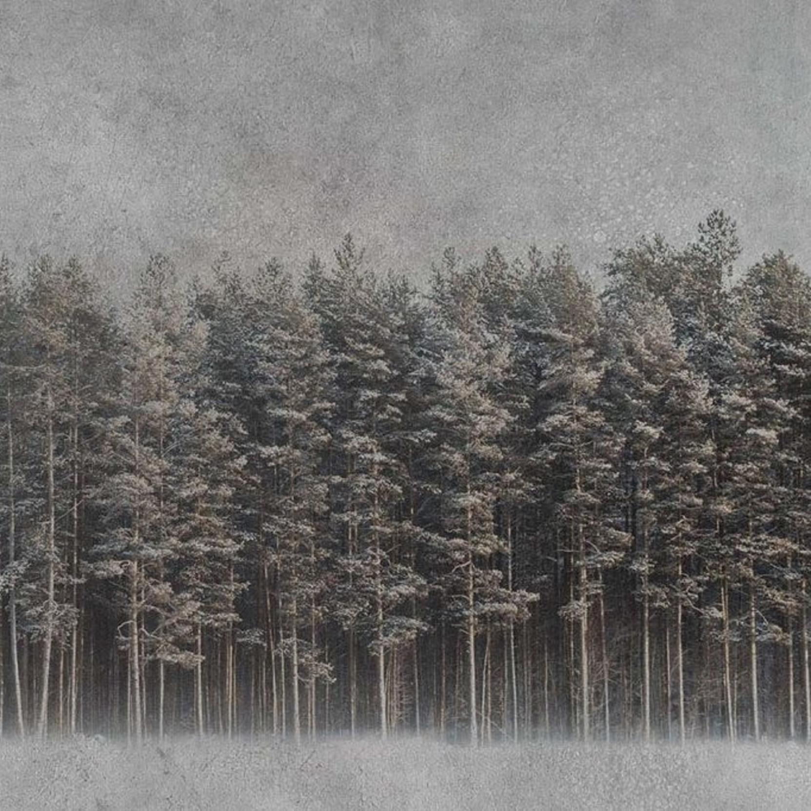 1663x1663 INSTABILELAB WALLPAPER BLACK FOREST