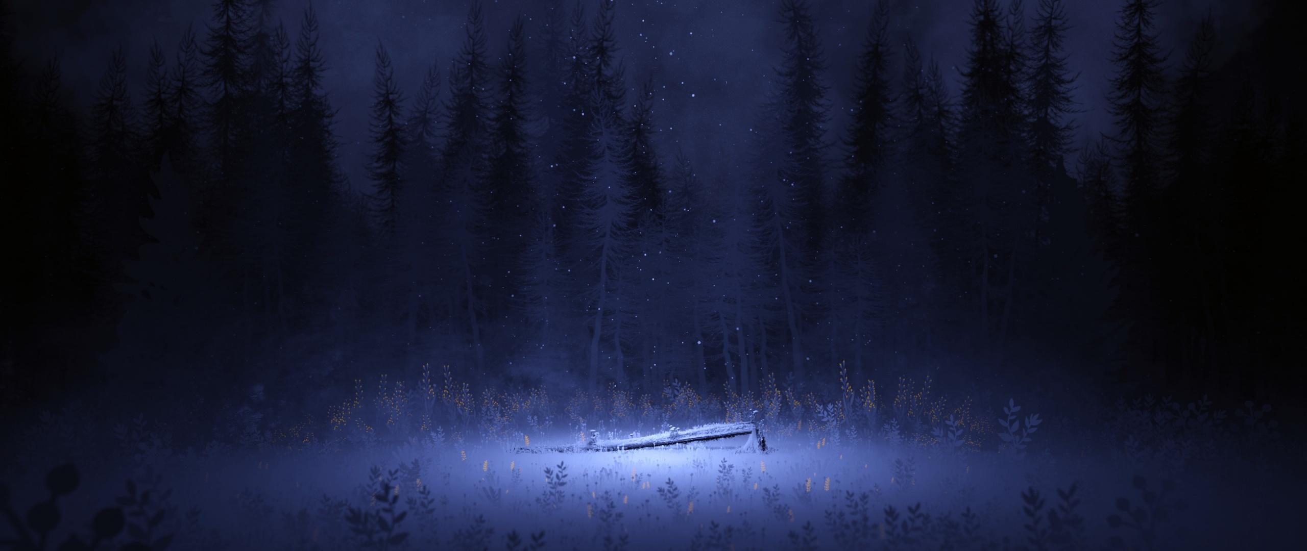 2560x1080 Light Wallpaper 4K, Night, Forest, Winter, Foggy, Dark, Nature