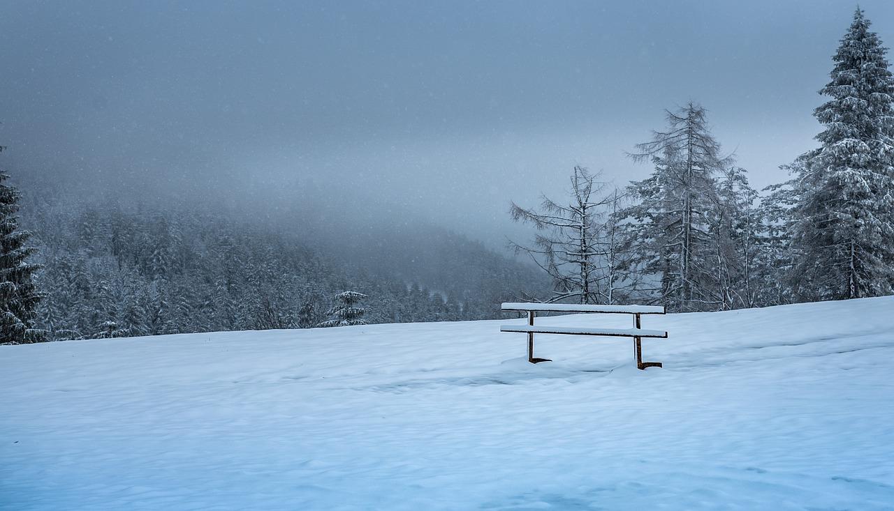 1280x733 Black Forest Winter Mood Bank