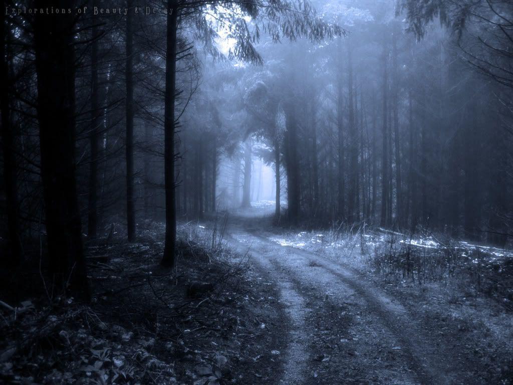 1024x768 Dark Winter Desktop Wallpaper