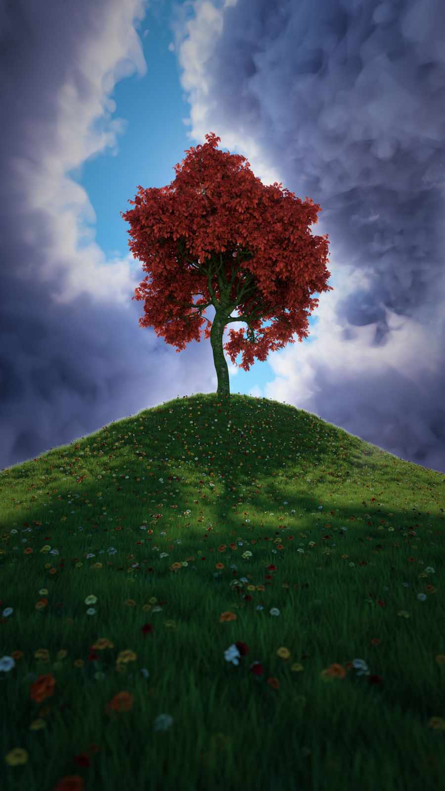 900x1600 Tree Of Life IPhone Wallpaper Wallpaper : iPhone Wallpaper