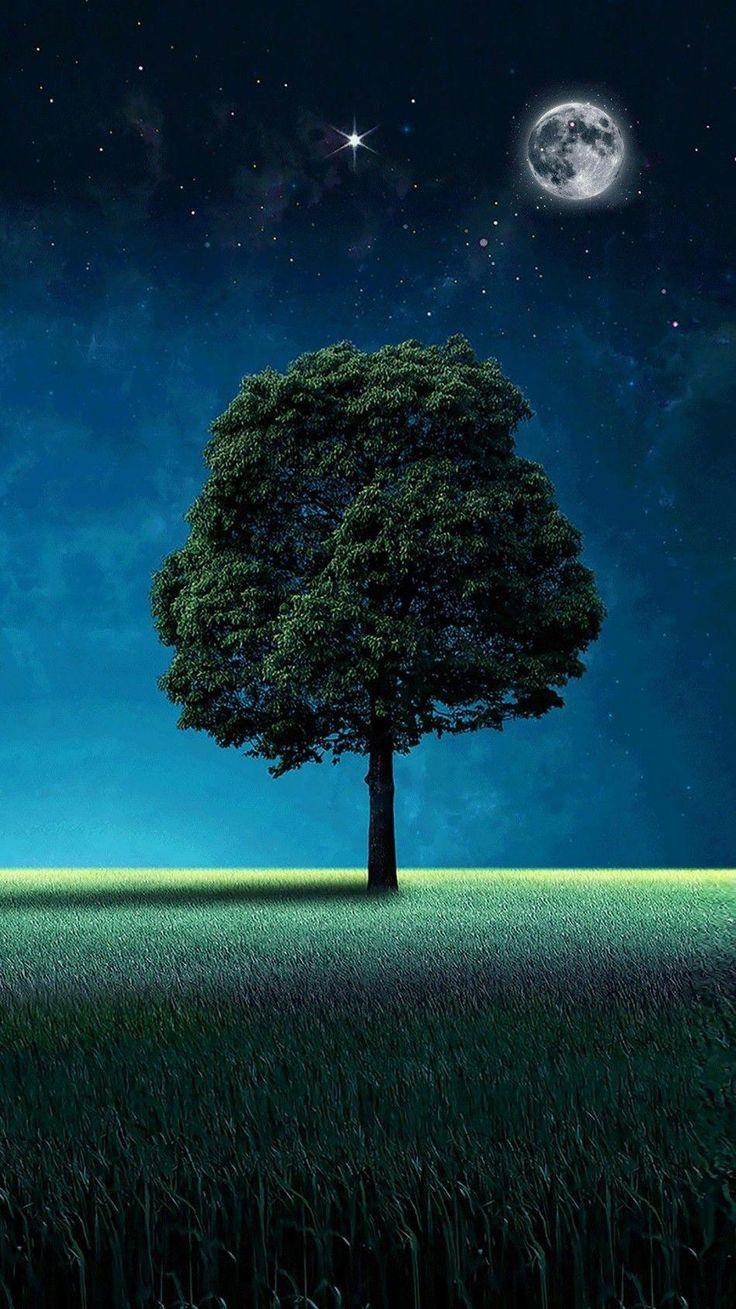 736x1309 Tree of Life. Fondos de pantalla arboles, Paisaje de fantasía, Ilustración de paisaje