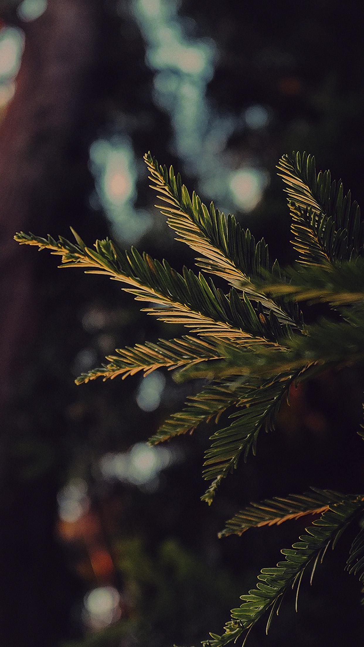 1242x2208 iPhone X wallpaper. tree winter dark bokeh life mountain nature