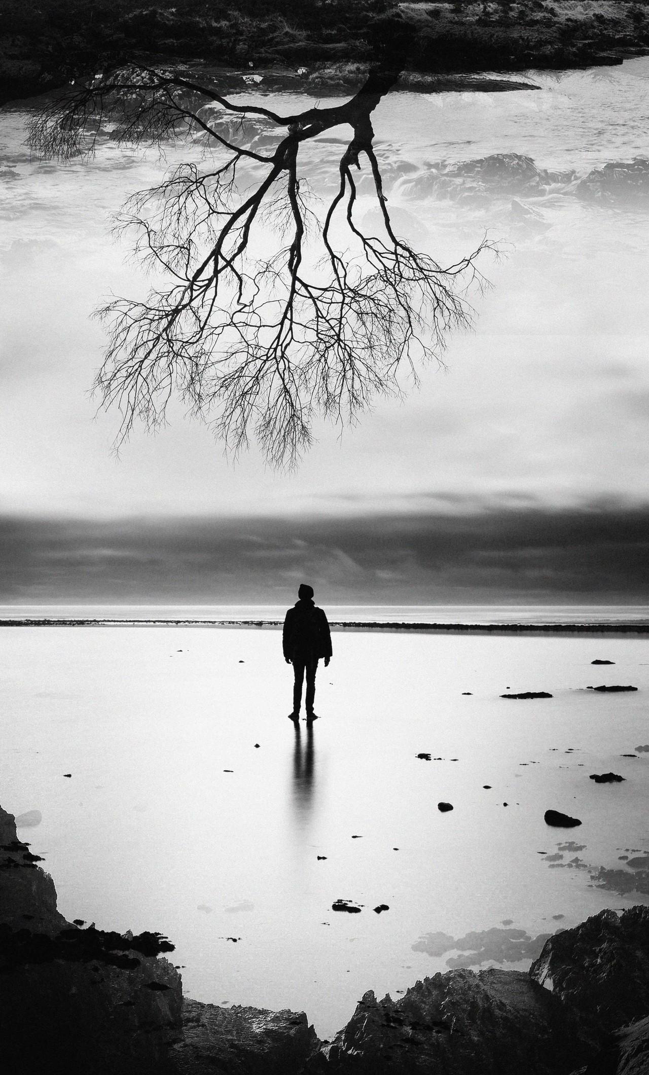 1280x2120 Tree Of Life iPhone HD 4k Wallpaper, Image, Background, Photo and Picture
