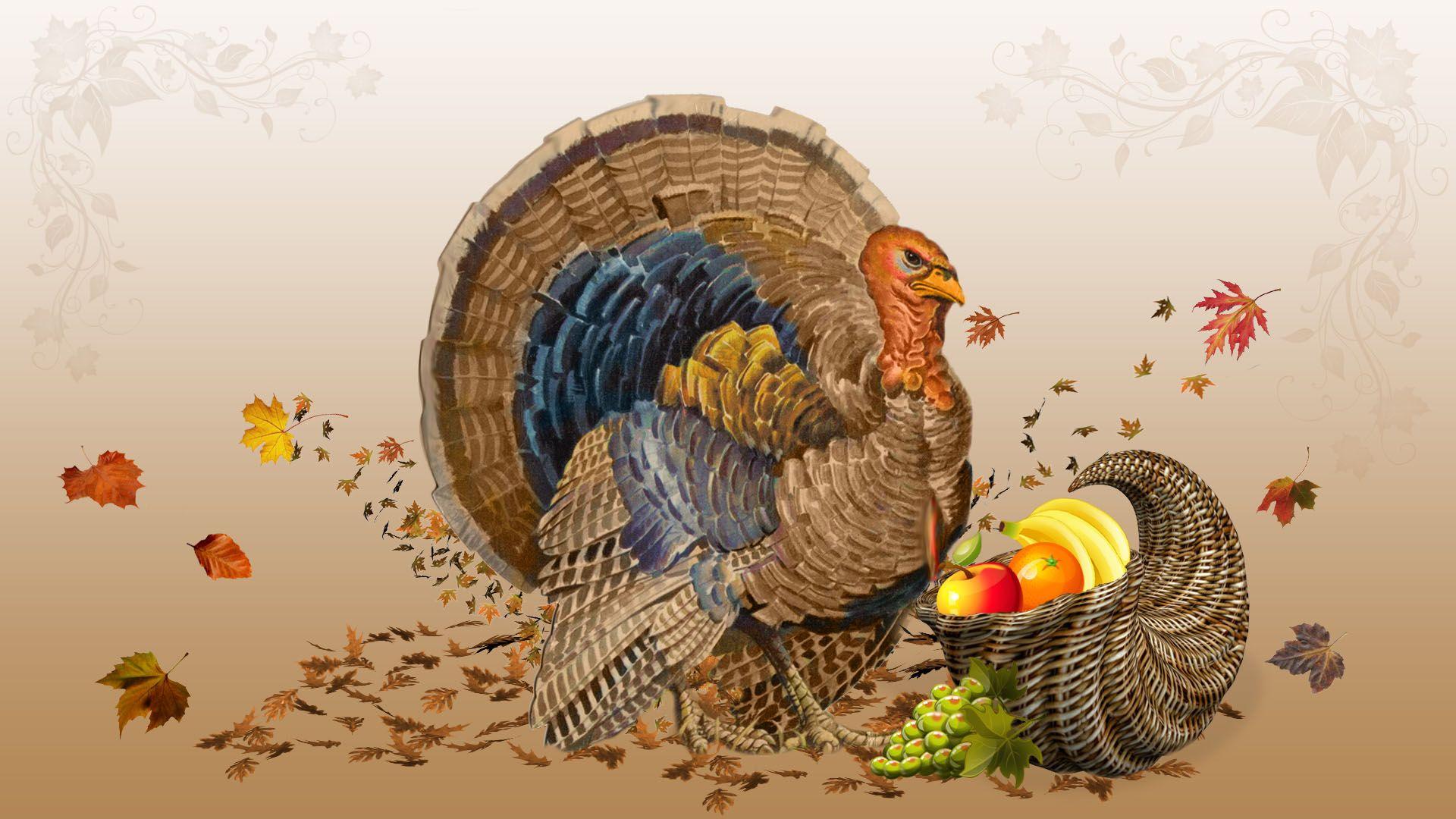 1920x1080 thanksgiving turkey wallpaper