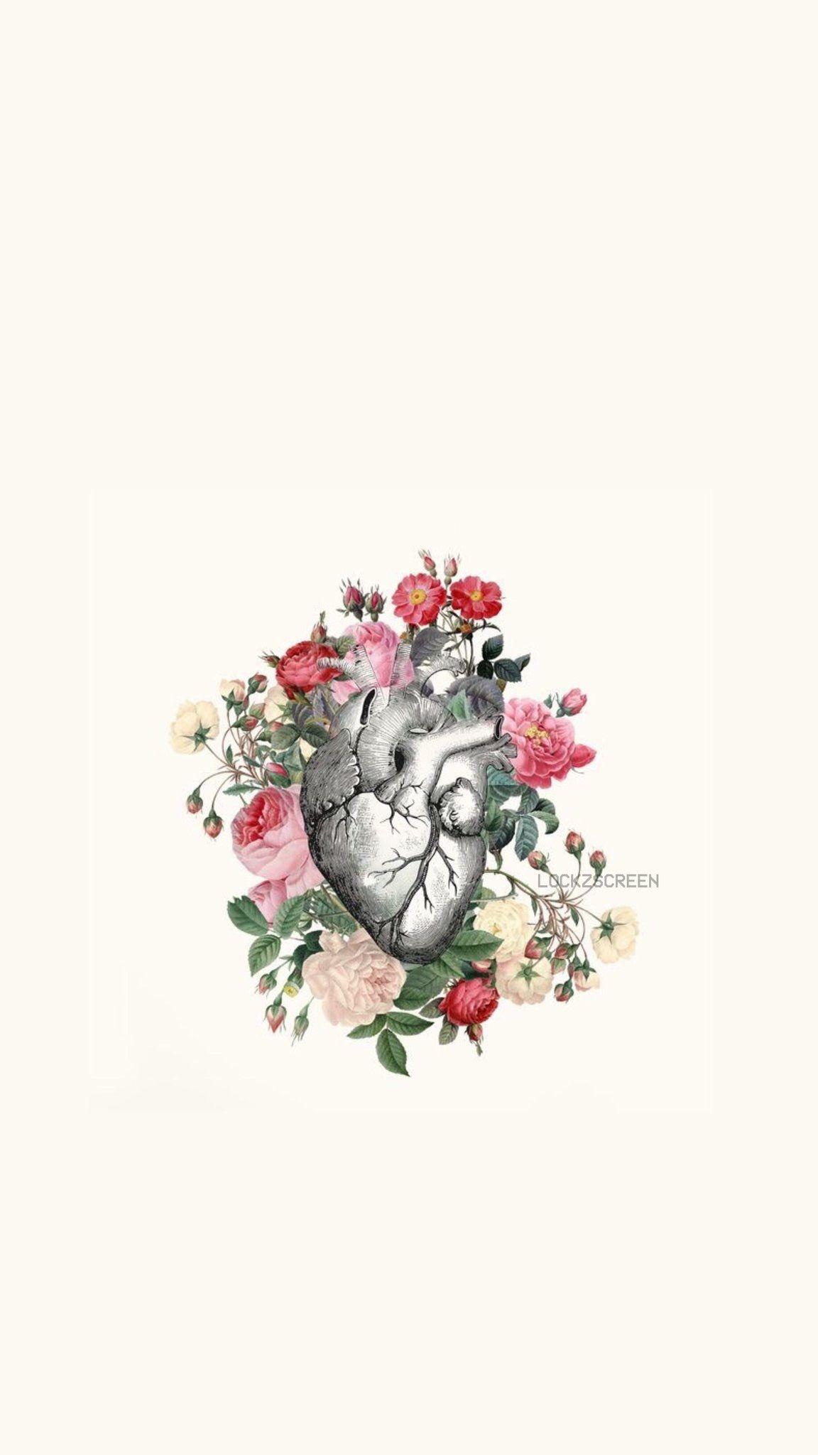 1152x2048 Anatomy Phone Wallpaper