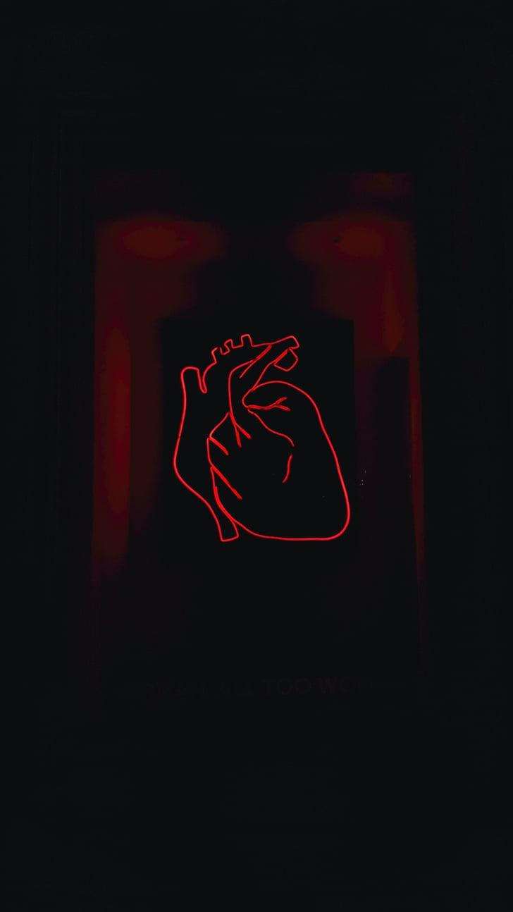 728x1294 Anatomical Heart Valentine's Day iPhone Wallpaper. The Dreamiest iPhone Wallpaper For Valentine's Day That Fit Any Aesthetic. Tech Photo 5