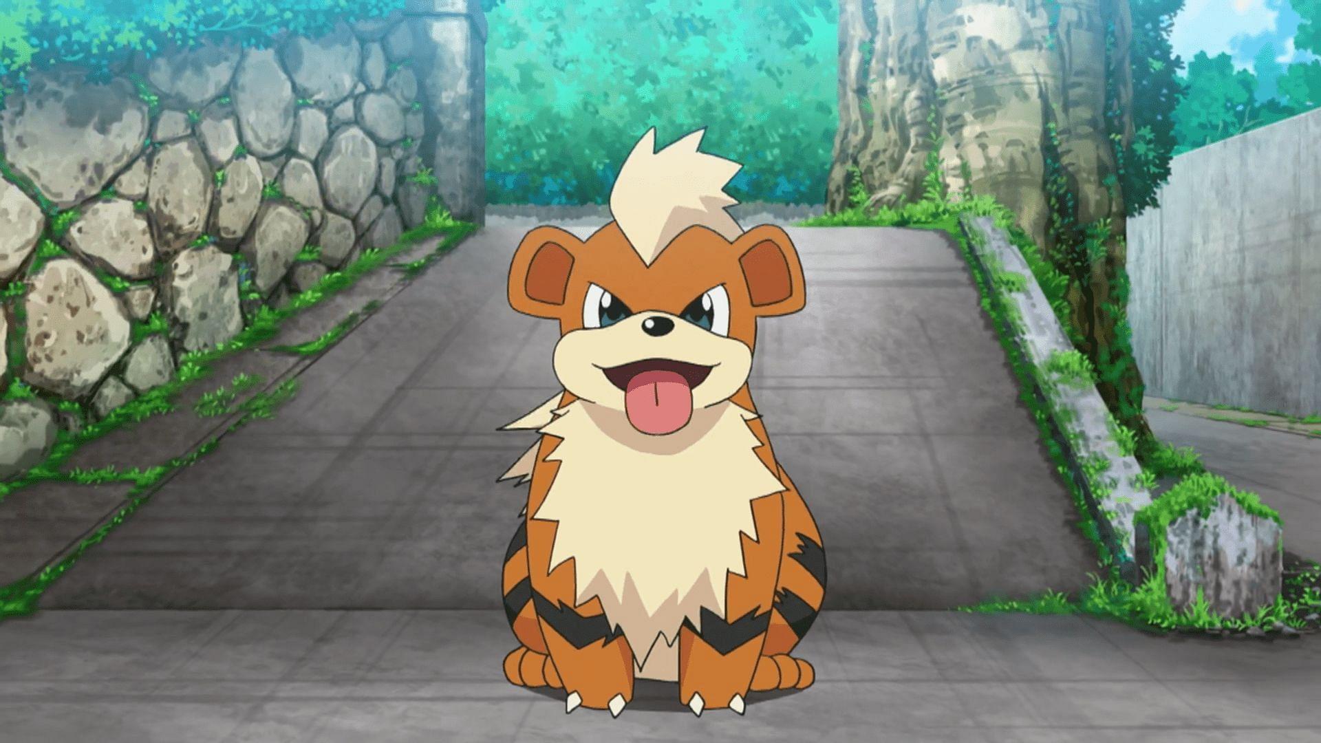 1920x1080 Pokemon GO: Can Shiny Growlithe be caught?