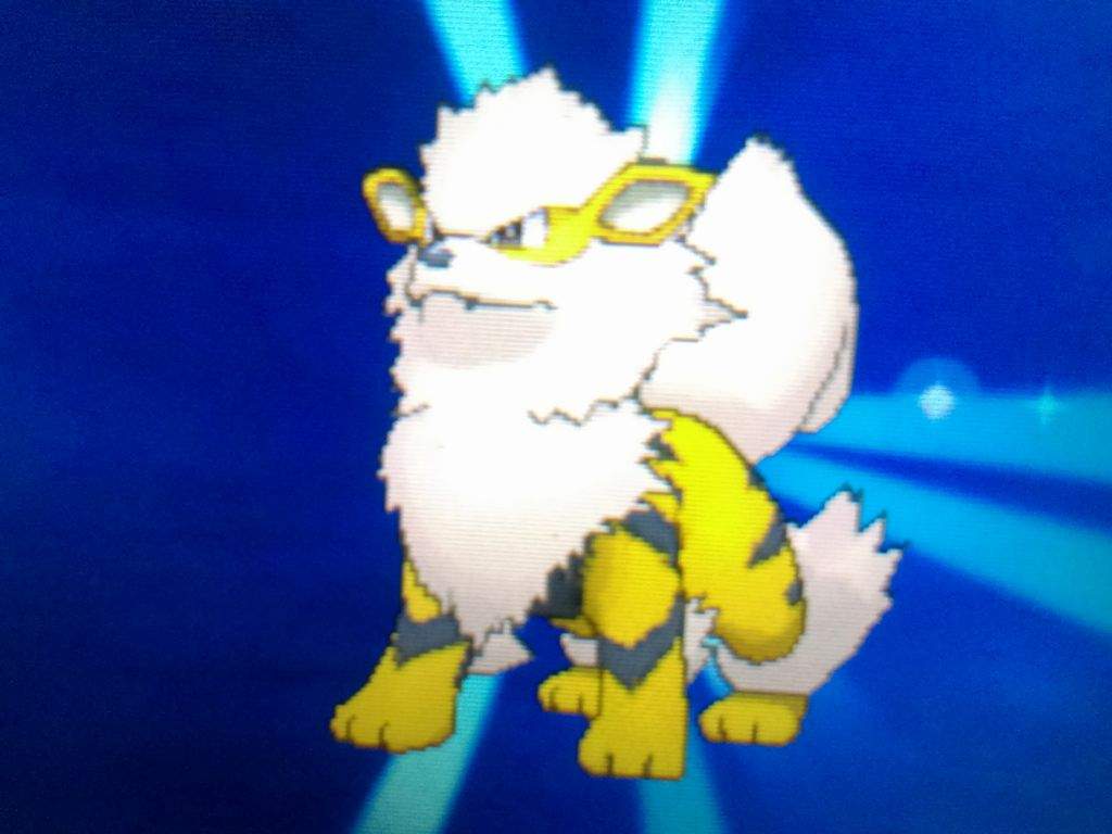 Shiny Arcanine Wallpapers Top Free Shiny Arcanine Backgrounds