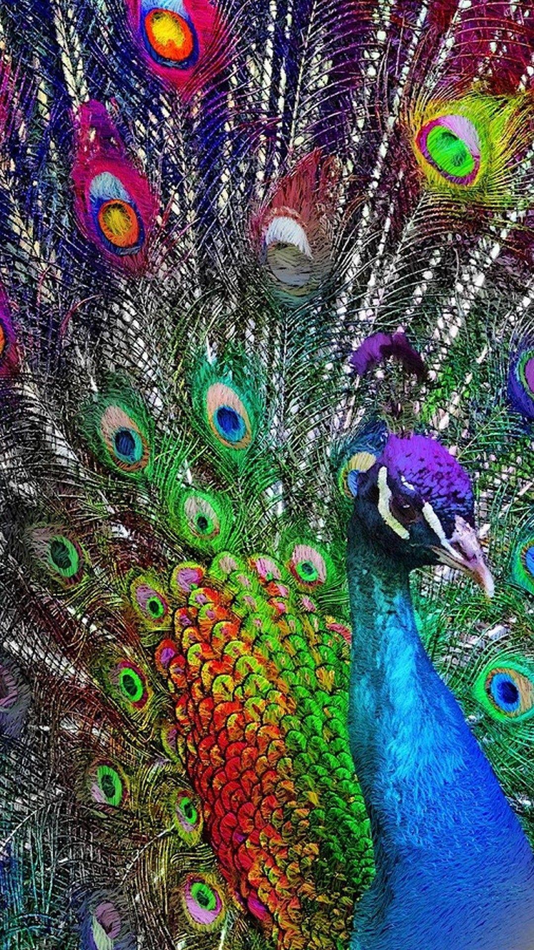 1080x1920 Peacock Wallpaper