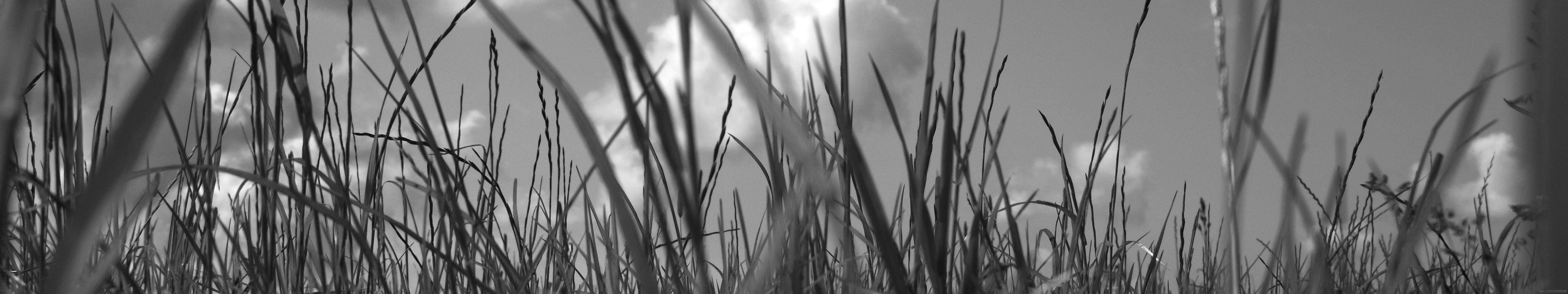 5760x1080 Black White Grassx1080 Triple Monitor Wallpaper. TMW Best Wallpaper