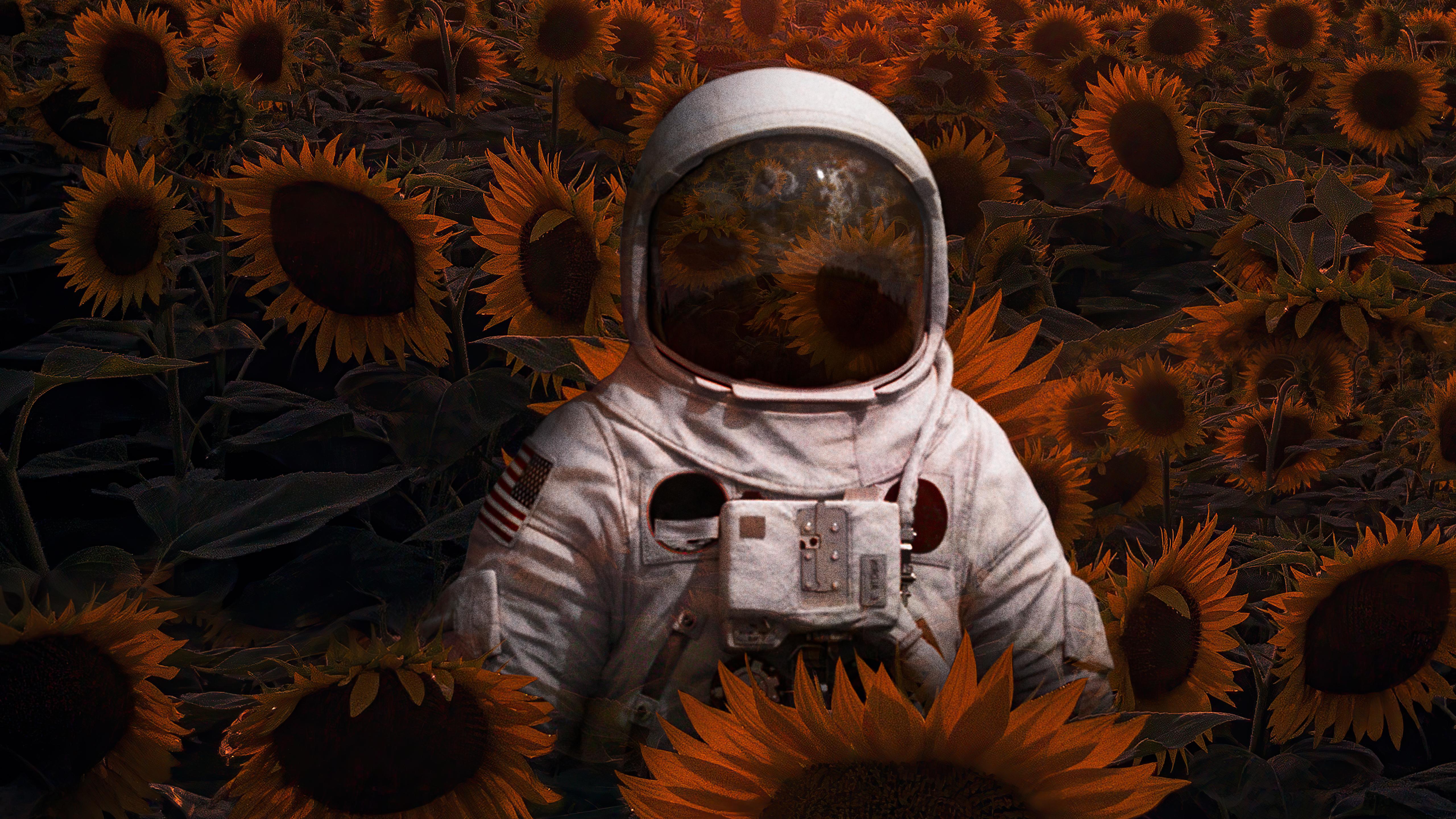 5120x2880 Wallpaper 4k Astronaut In Sunflowers Field 4k Wallpaper