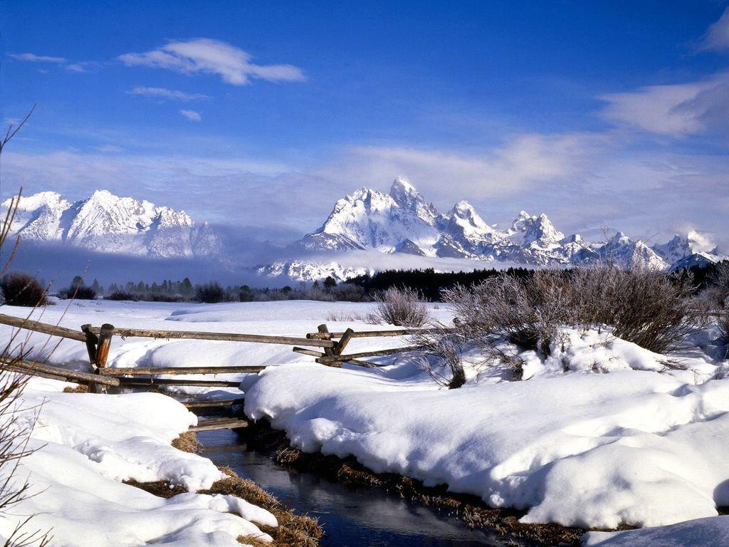 HD wallpaper Horses Grazing in the Shadow of the Mountains in Grand Teton  National Park Wyoming  Wallpaper Flare