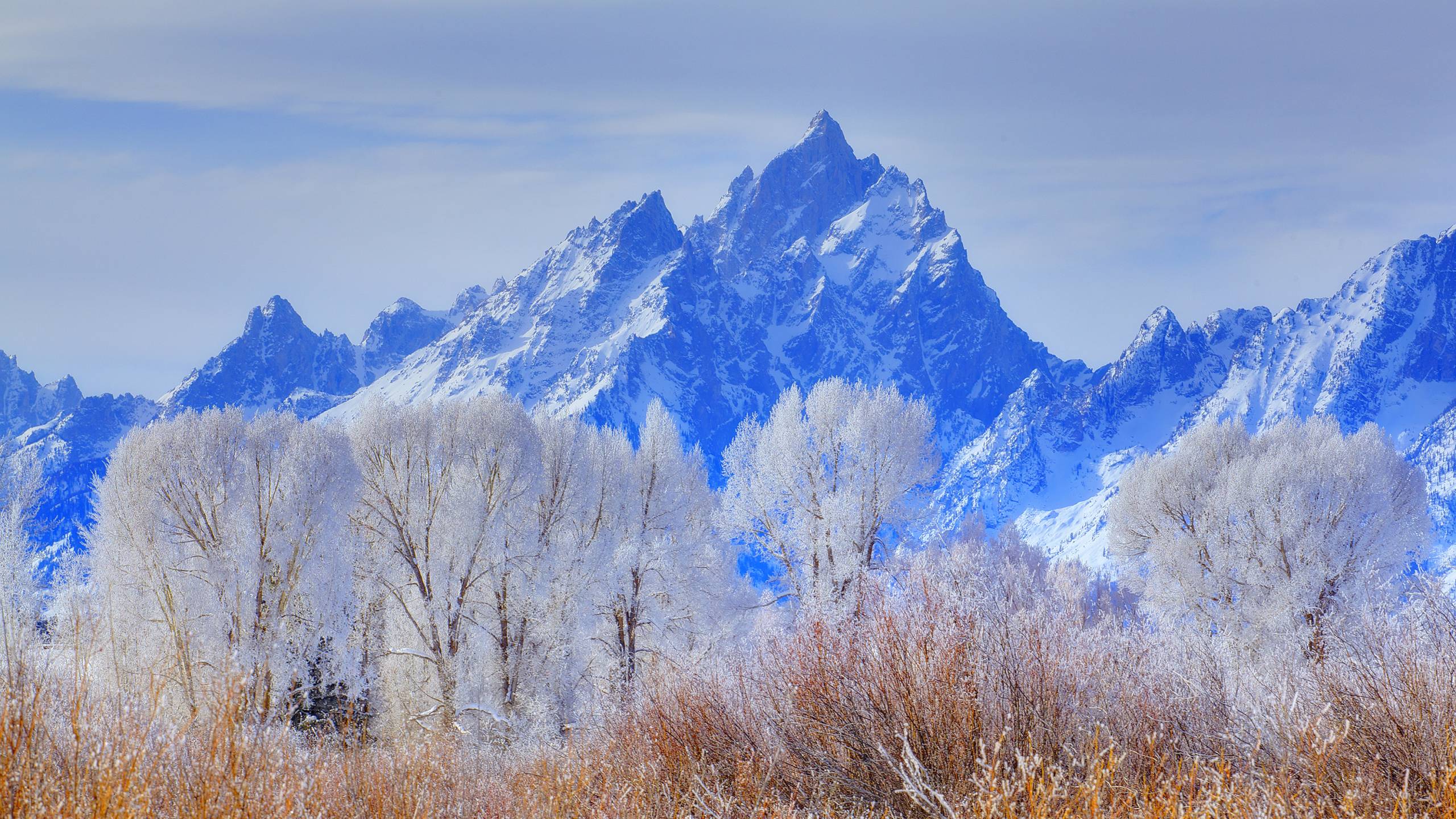 2560x1440 grand teton national park, wyoming, usa 1440P Resolution Wallpaper, HD Nature 4K Wallpaper, Image, Photo and Background