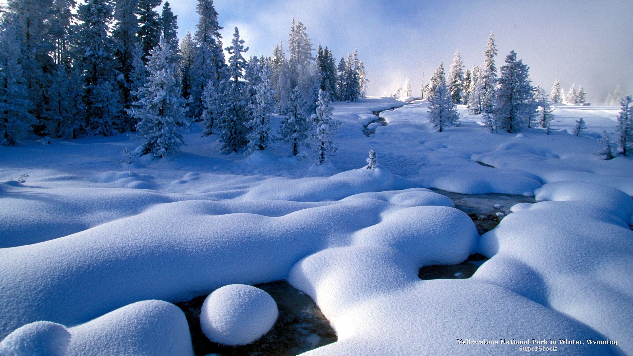 2560x1440 United States Parks Winter Wallpaper