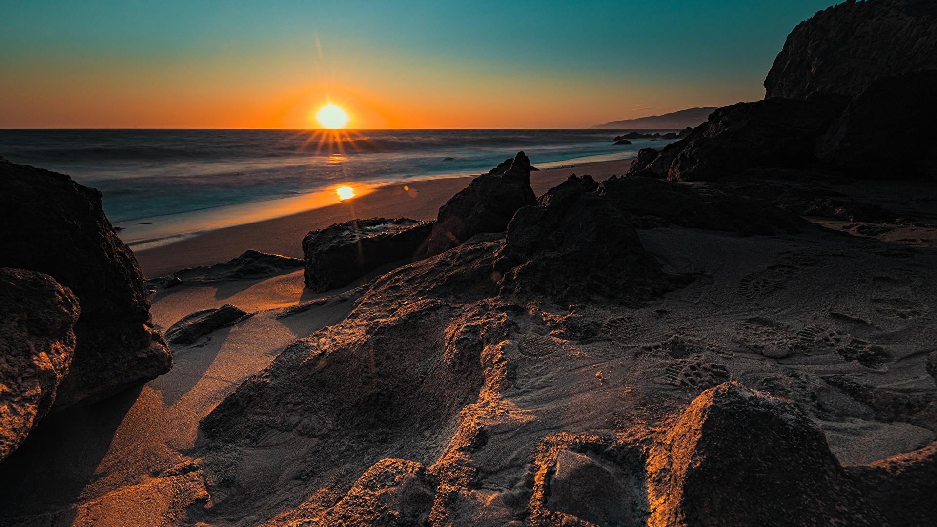 Lush California Sun Insurance Design Art Lush California Sun Insurance Design Art