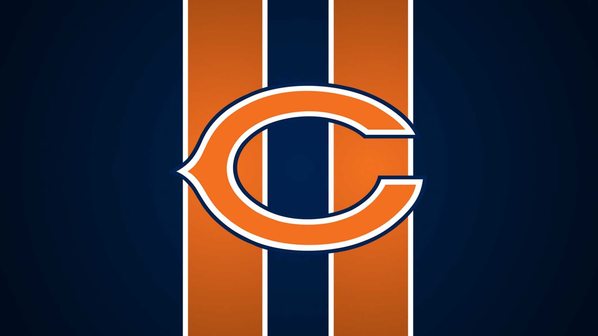 1920x1080 HD Bears Wallpaper