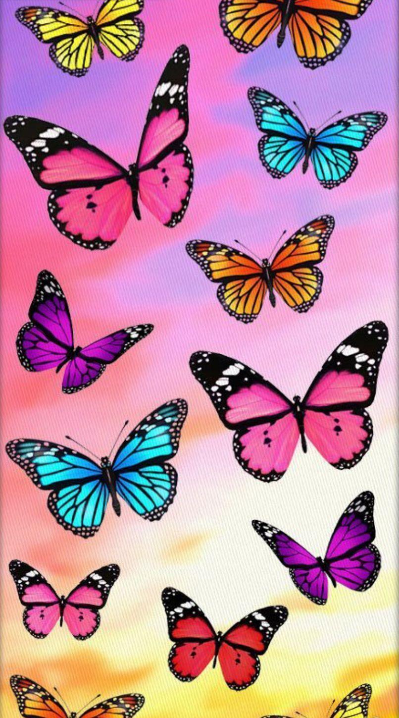806x1449 Aesthetic Phone Cases Wallpaper