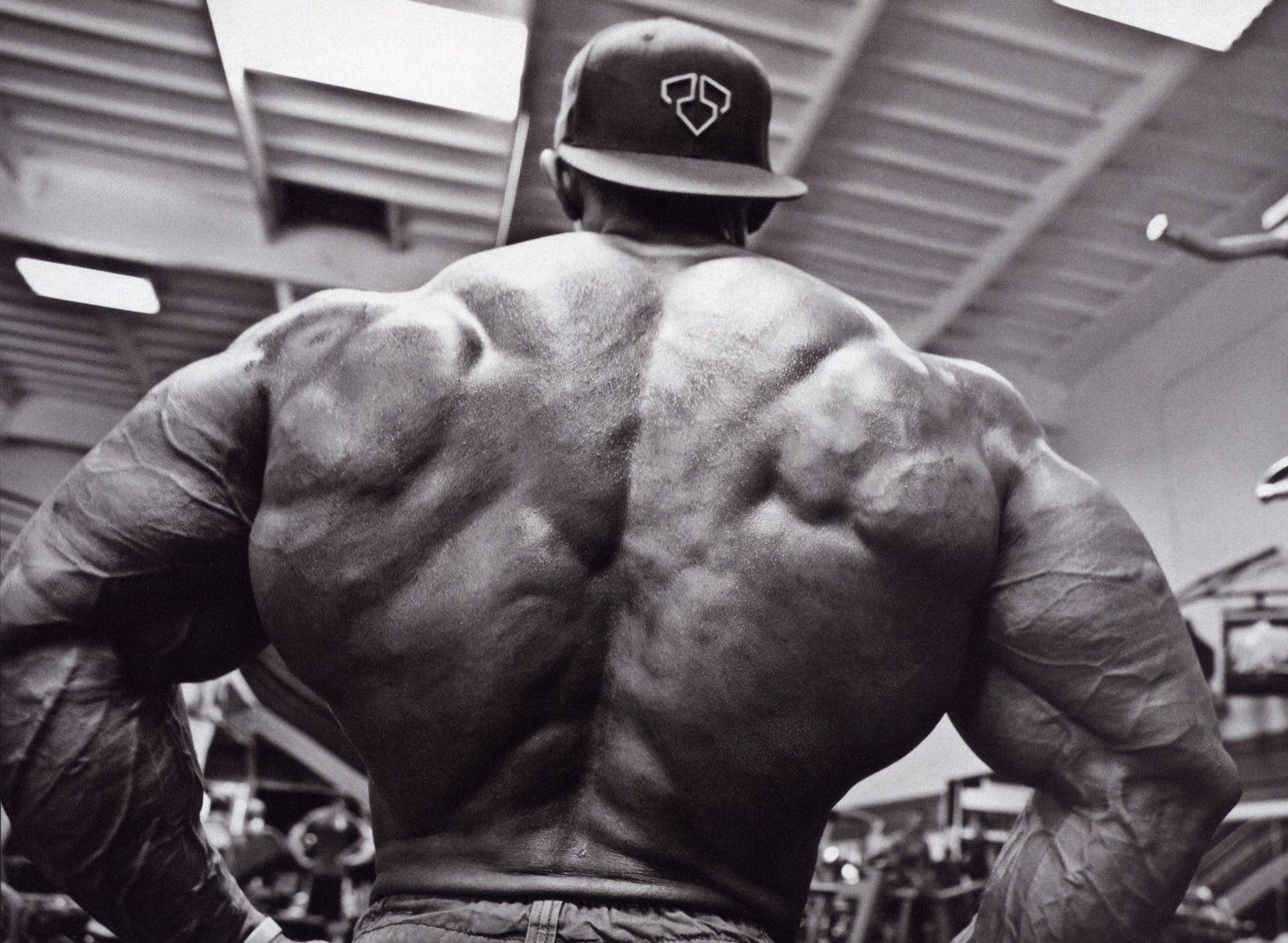 1600x1172 Scary Bodybuilding Wallpaper