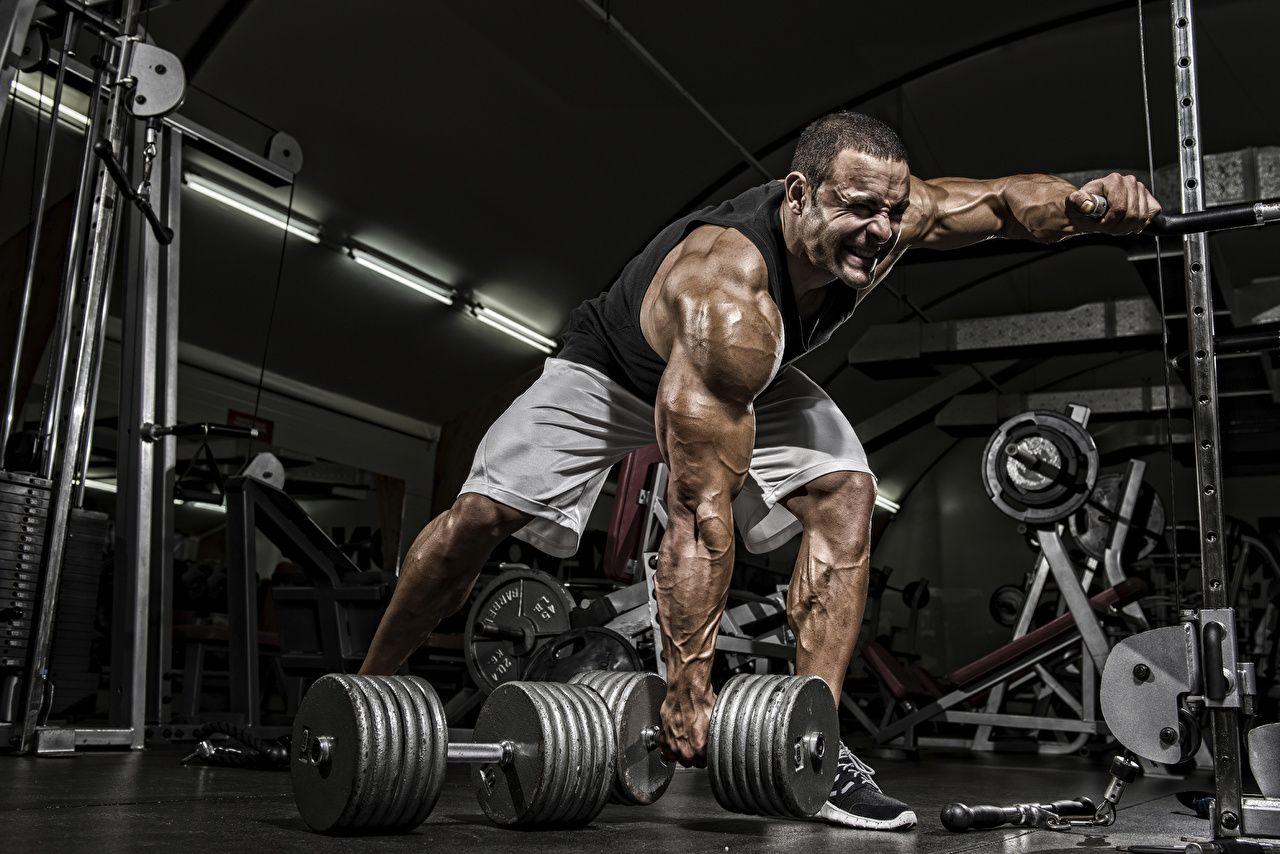 1280x854 Bodybuilding wallpaper picture download