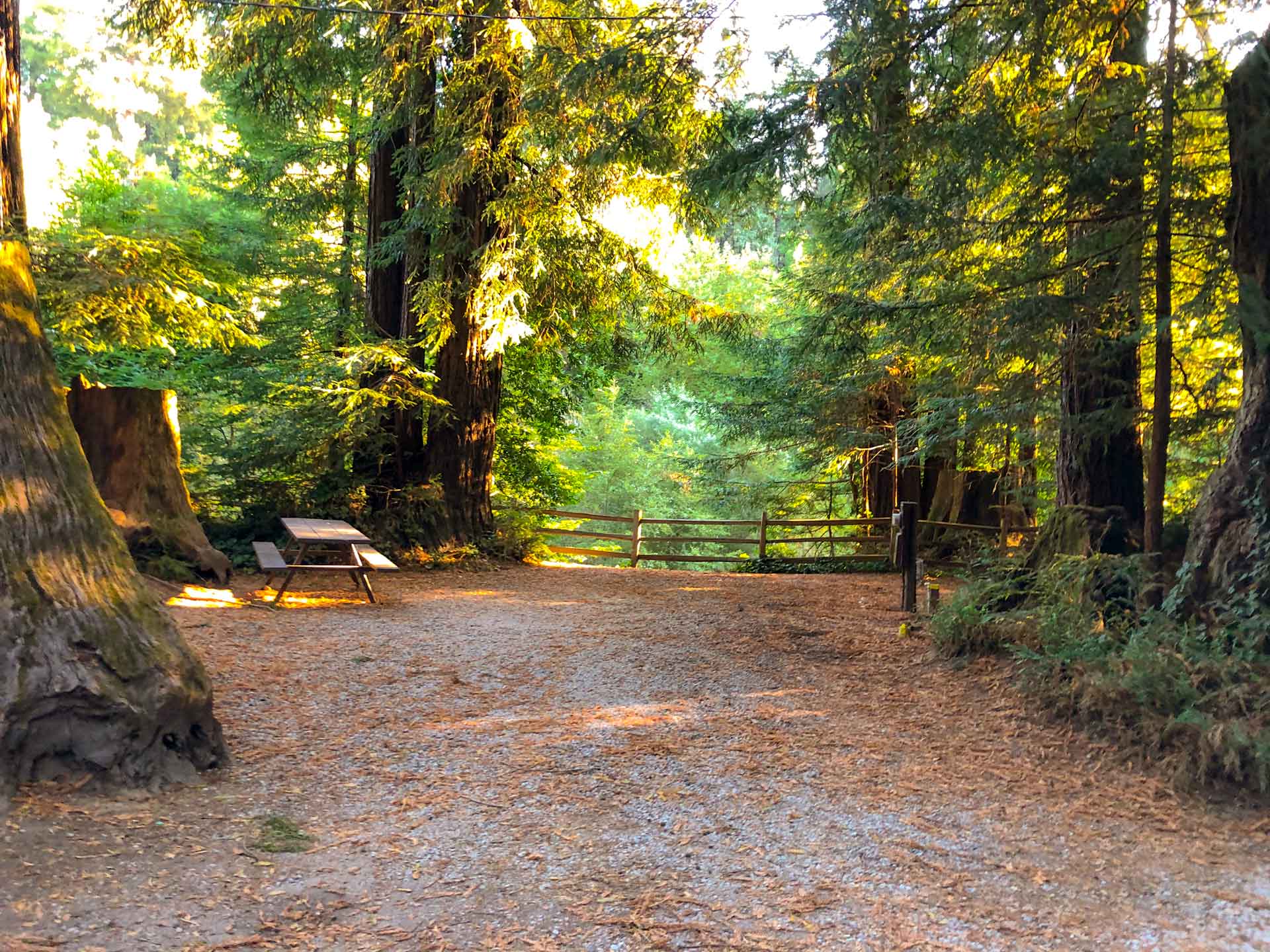 1920x1440 Santa Cruz Redwoods RV Resort