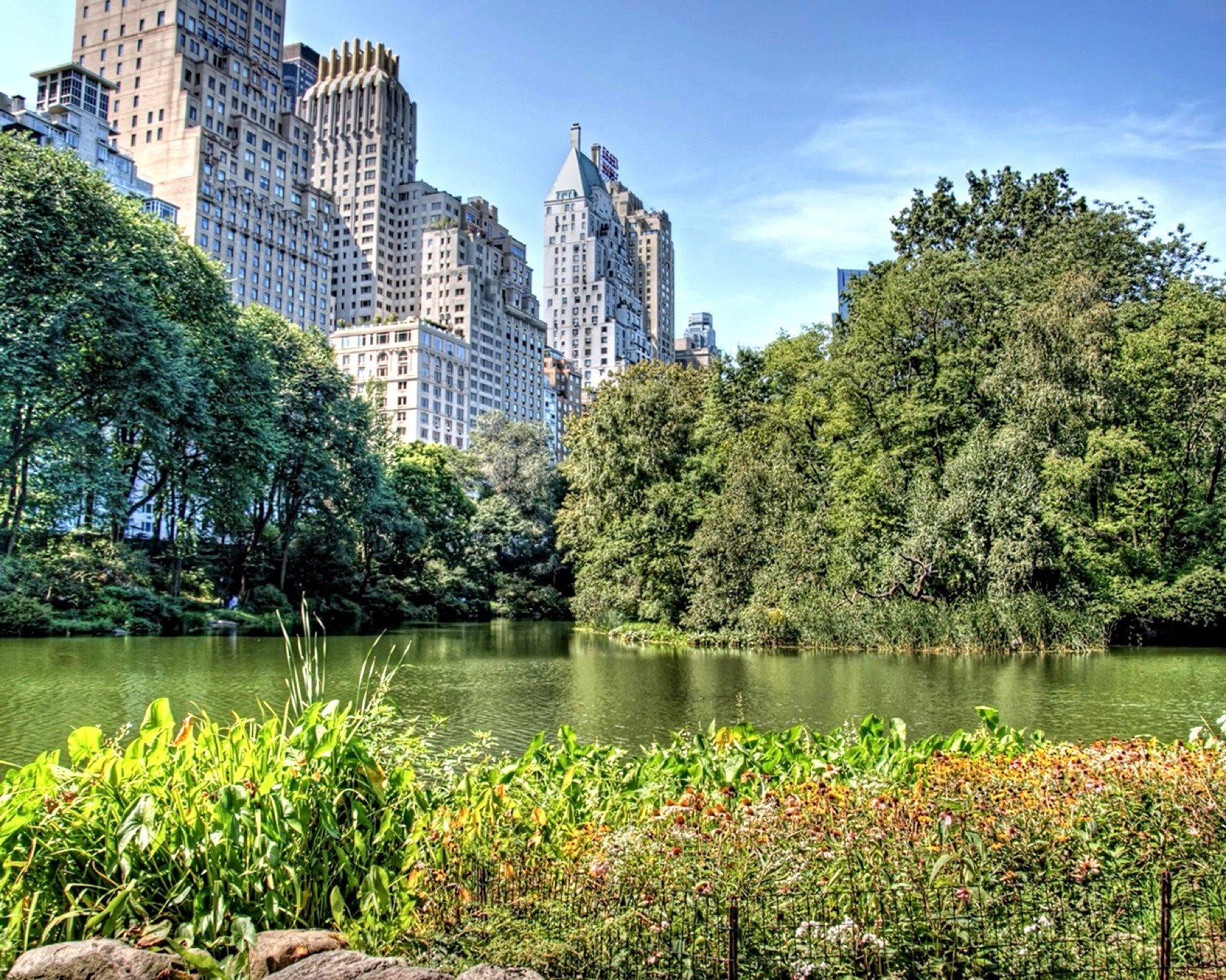 1717x1373 Summer comes to Central Park. Central park nyc, Central park, Central park winter