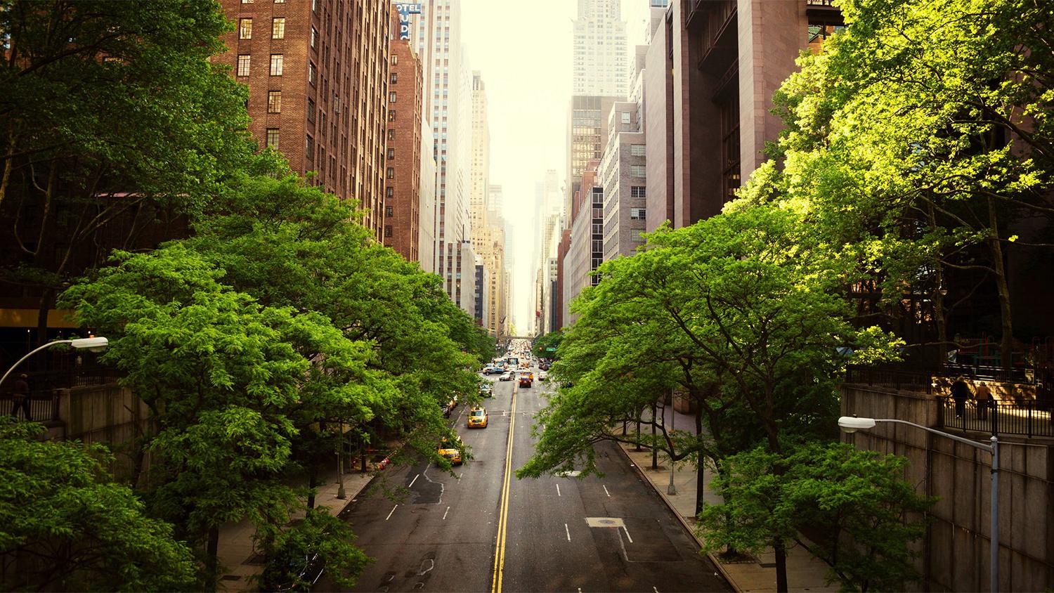 1500x844 See beautiful photo of New York in summer