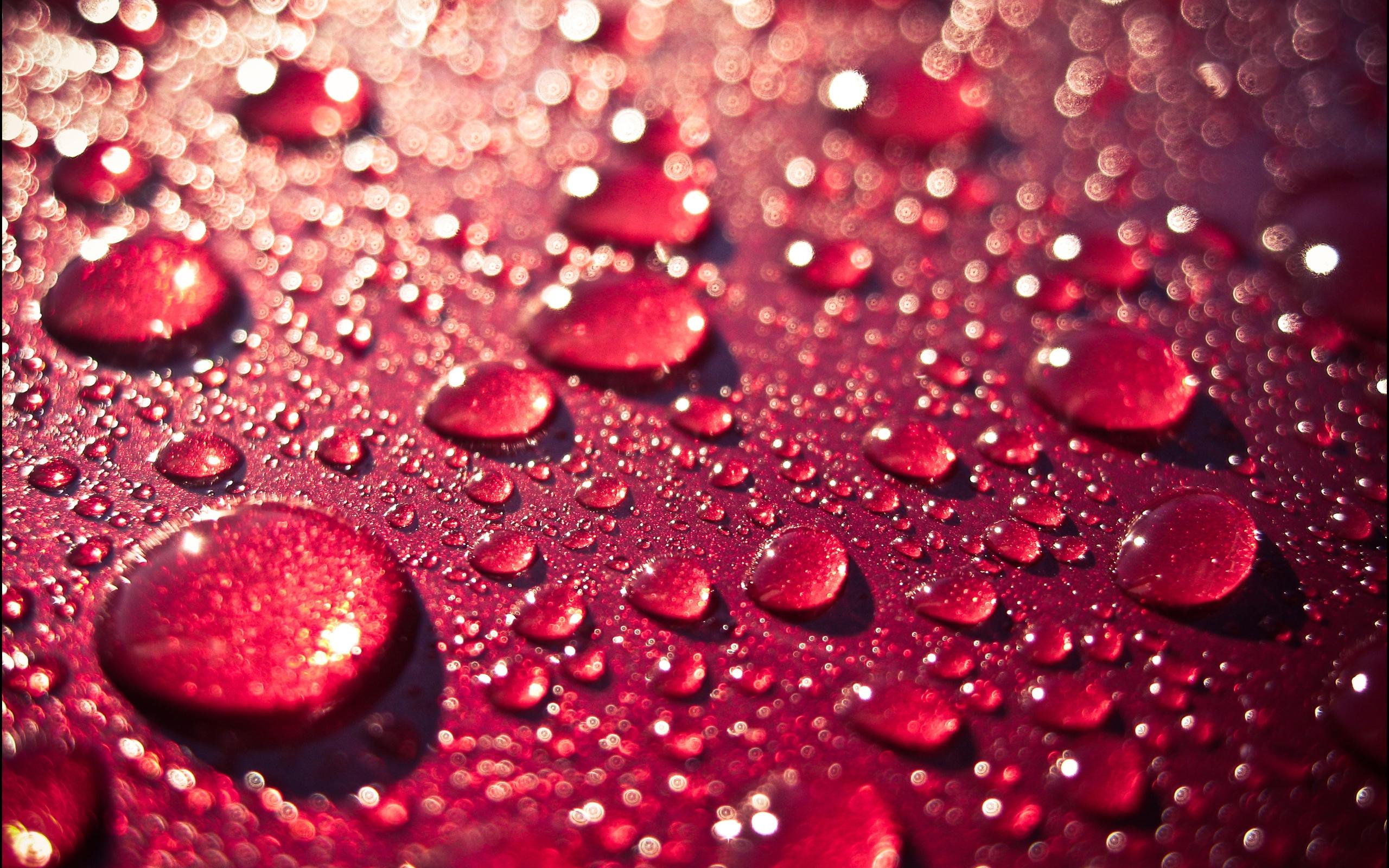 2560x1600 Drops Wallpaper HD