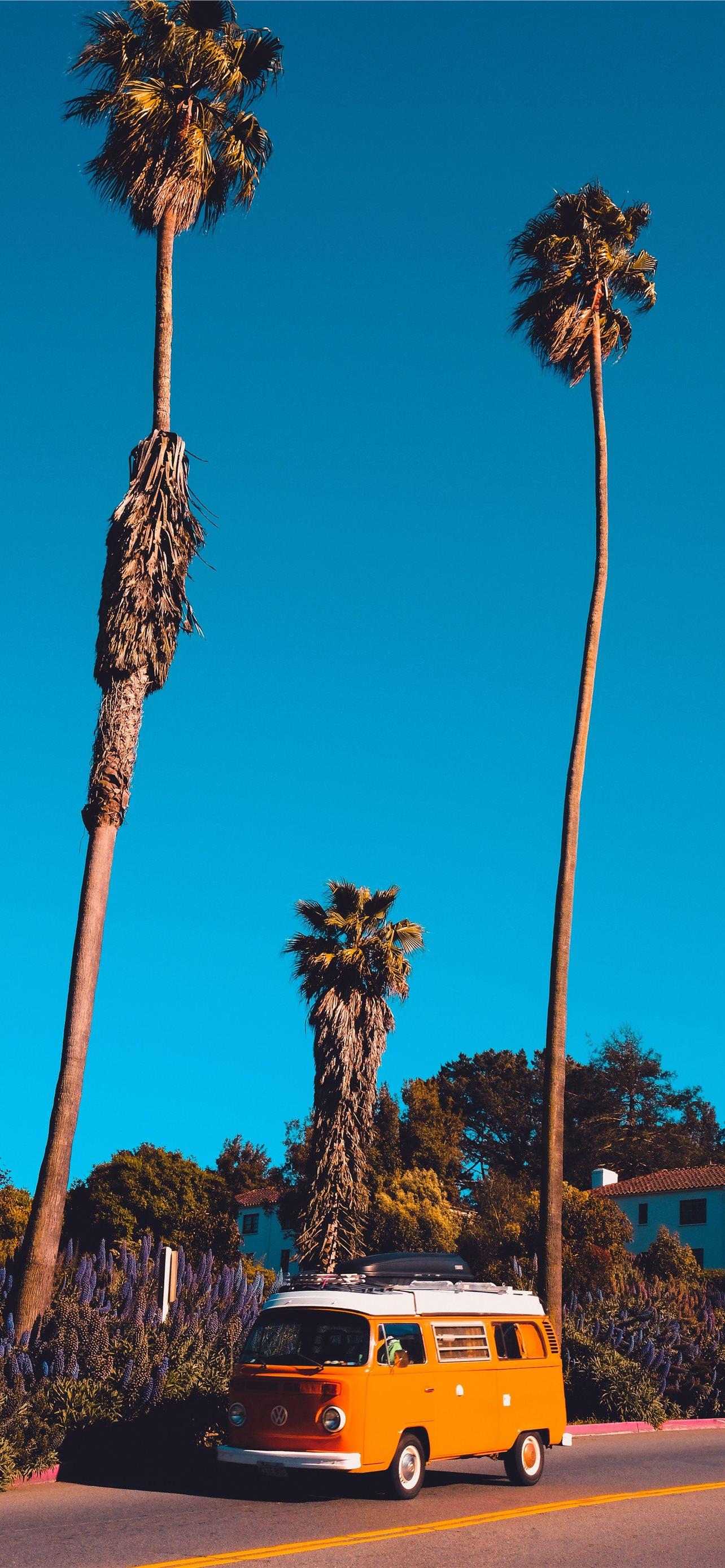 1284x2778 san jose california iPhone Wallpaper Free Download
