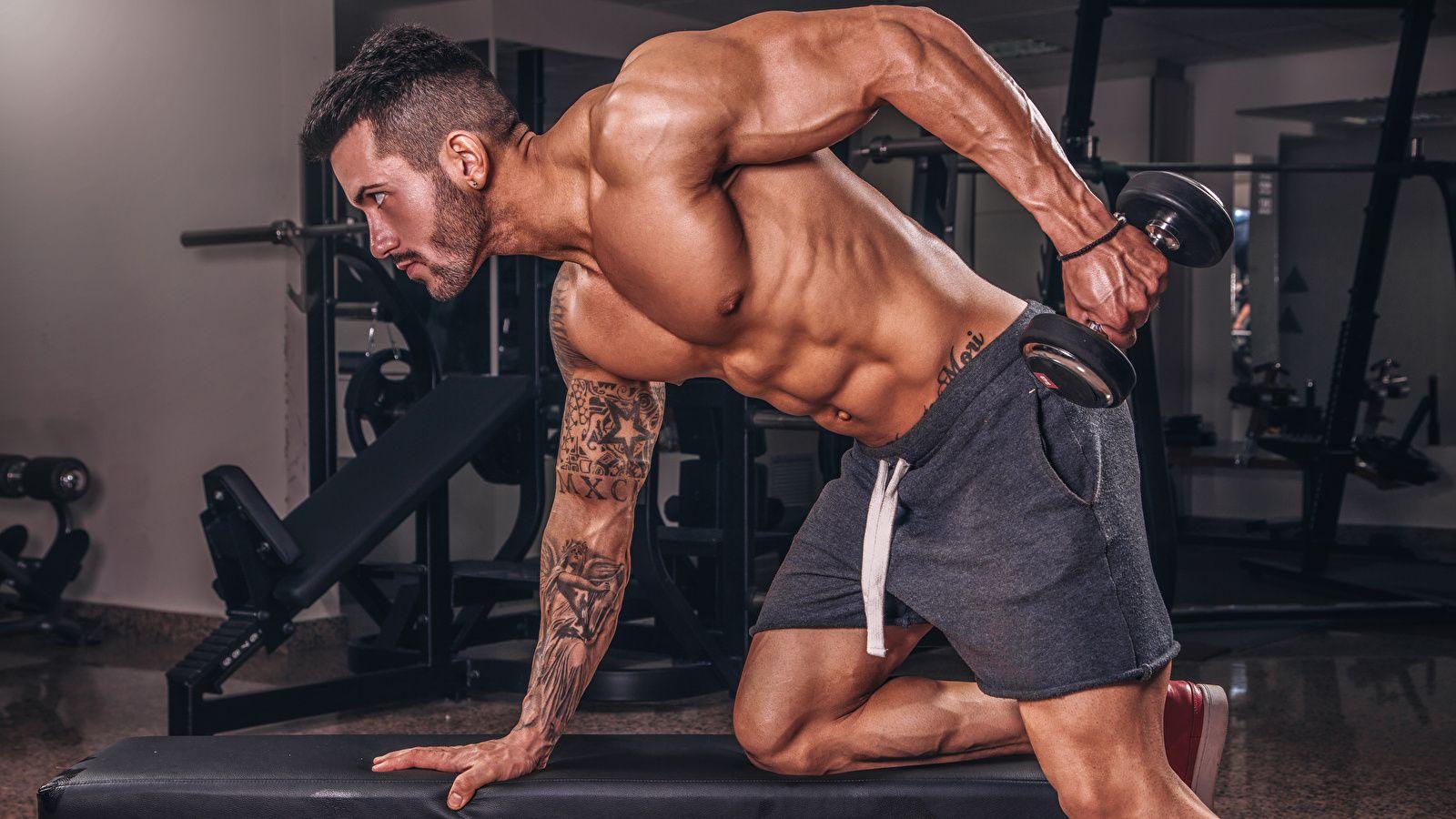 1600x900 Wallpaper Tattoos Man Muscle Physical exercise Sport 1600x900