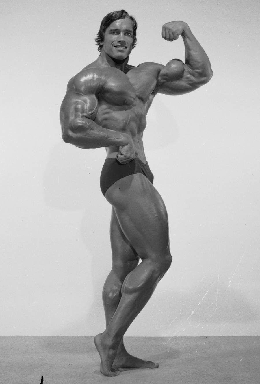 900x1328 Arnold Bodybuilding Wallpaper Group , HD Wallpaper