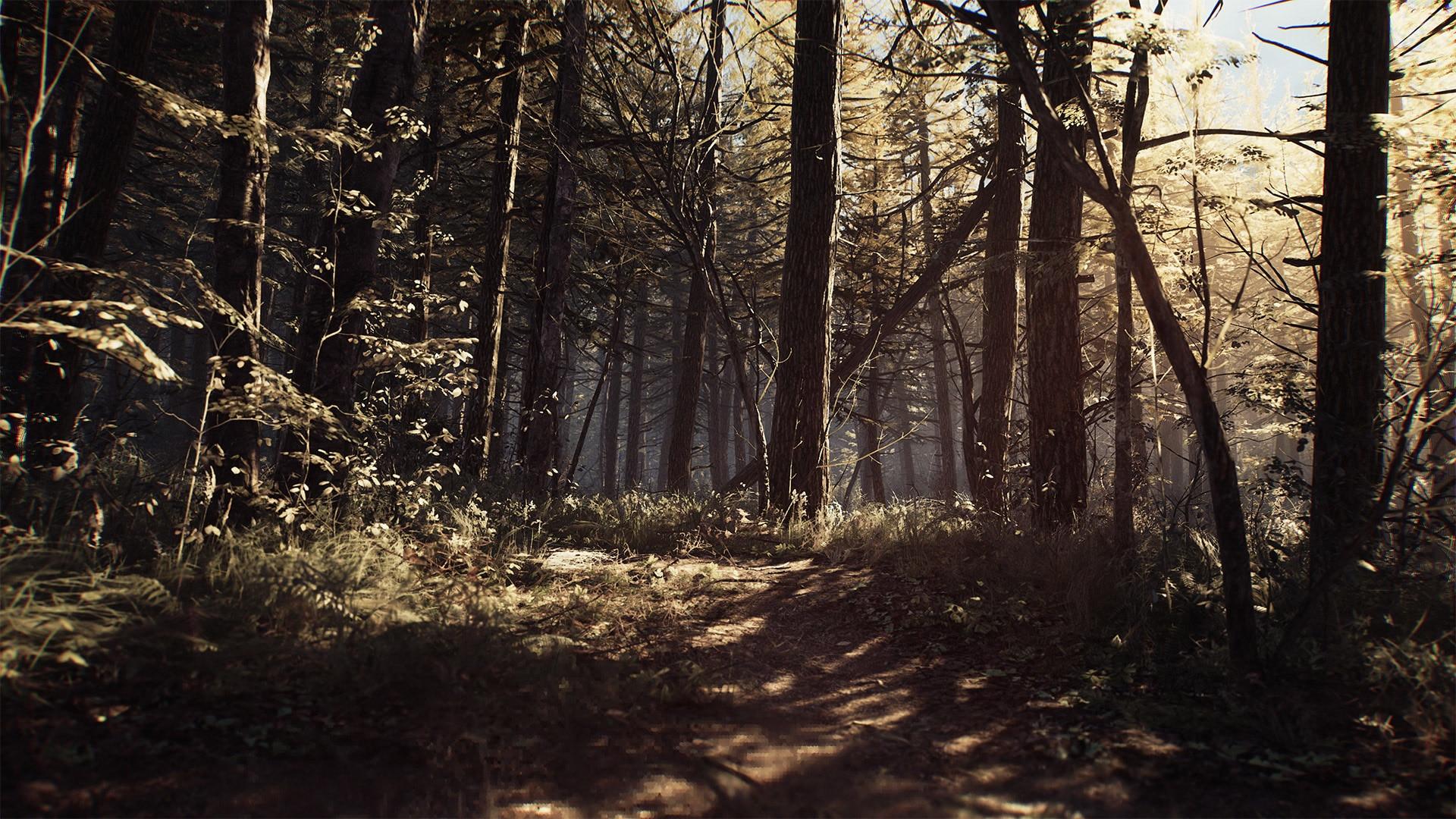 1920x1080 Blair Witch
